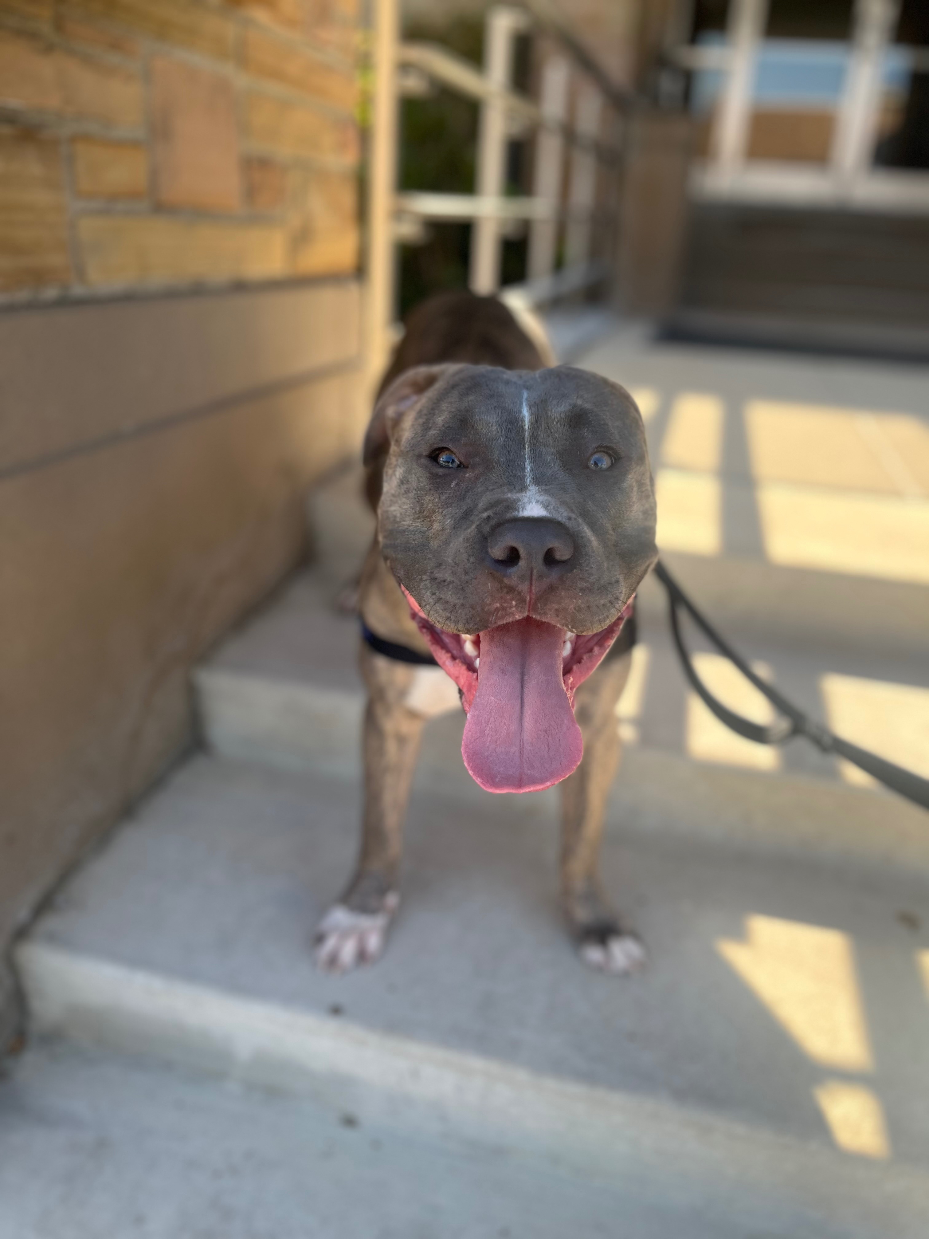 Help Kadoe Get Lifesaving Medical Care campaign photo, 2 of 7