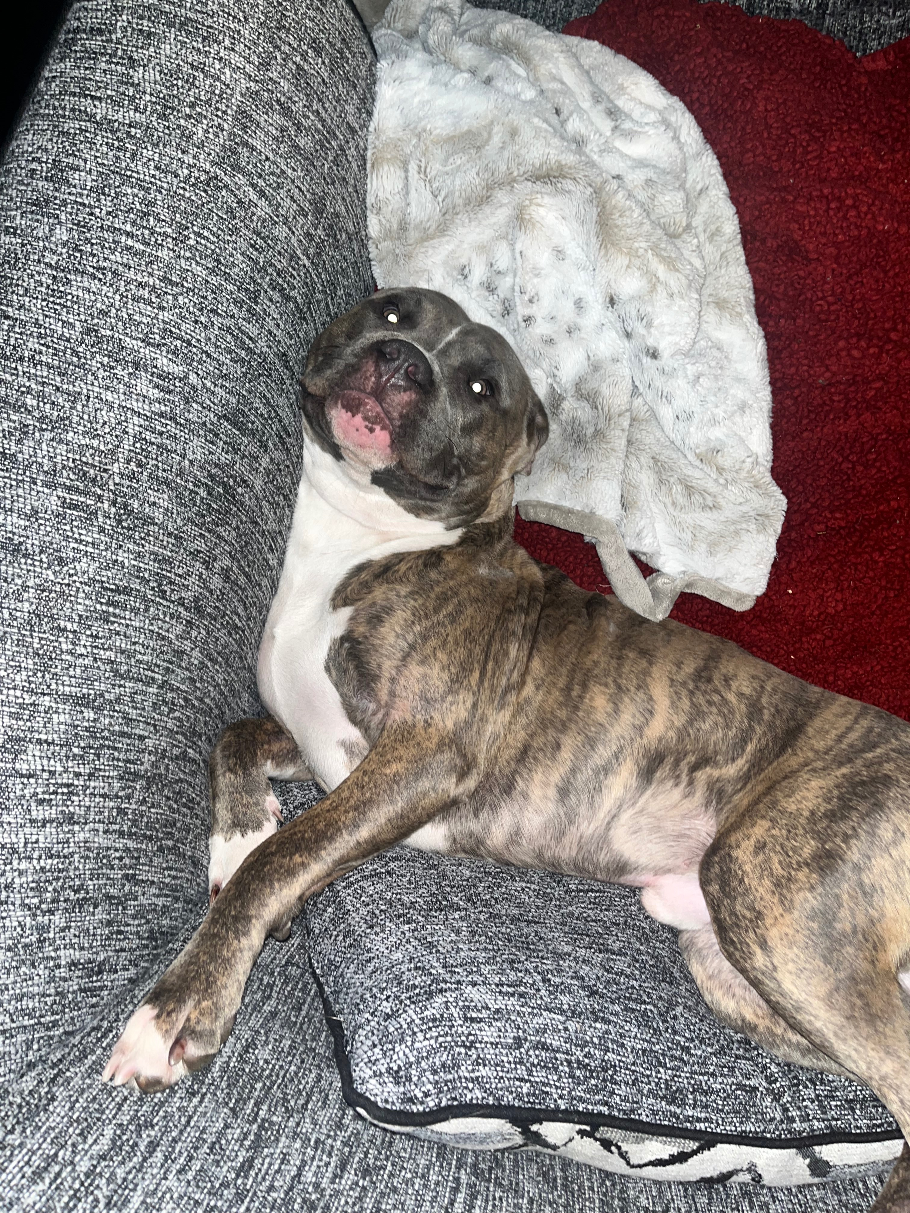 Help Kadoe Get Lifesaving Medical Care campaign photo, 4 of 7
