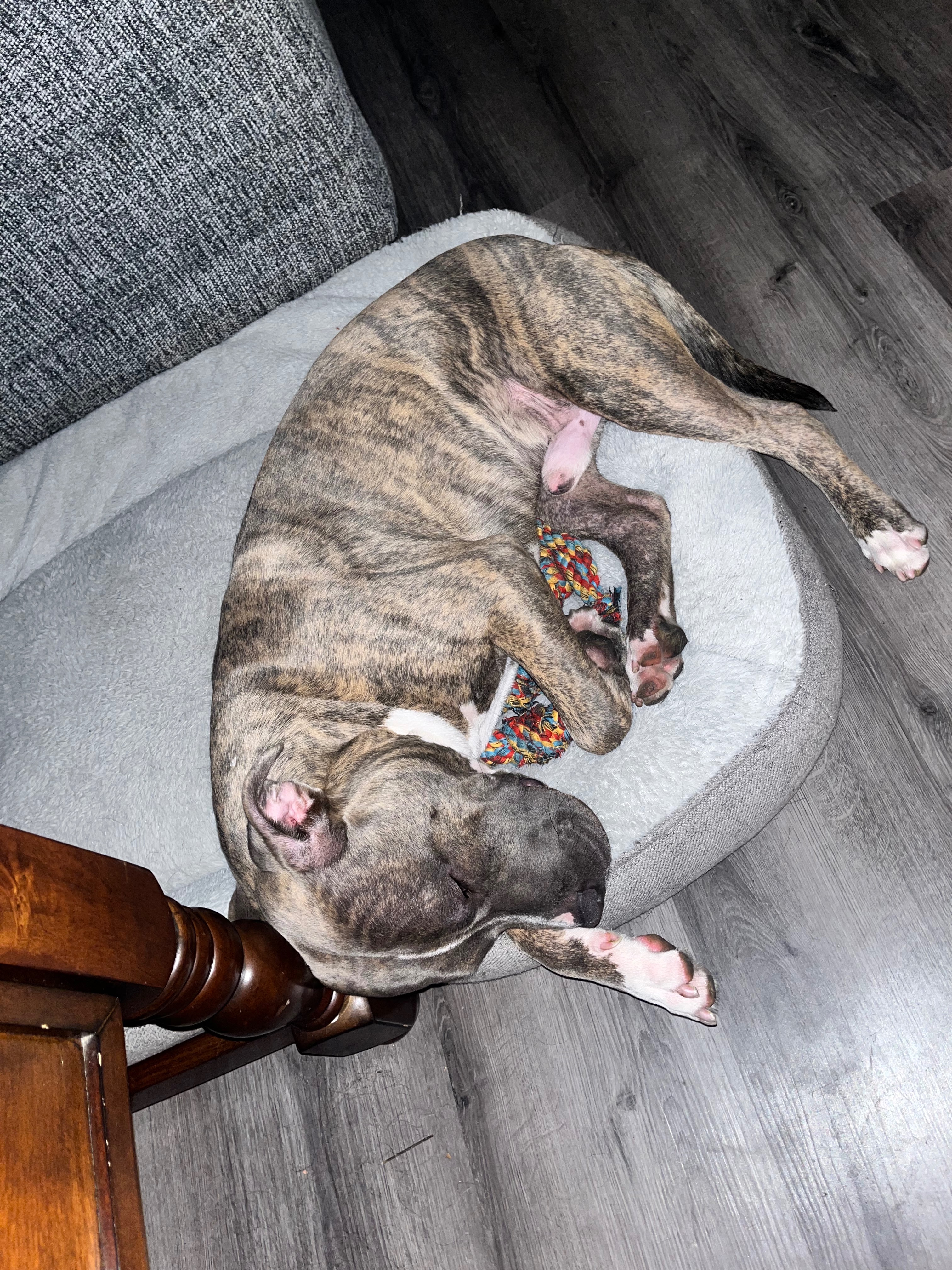 Help Kadoe Get Lifesaving Medical Care campaign photo, 5 of 7