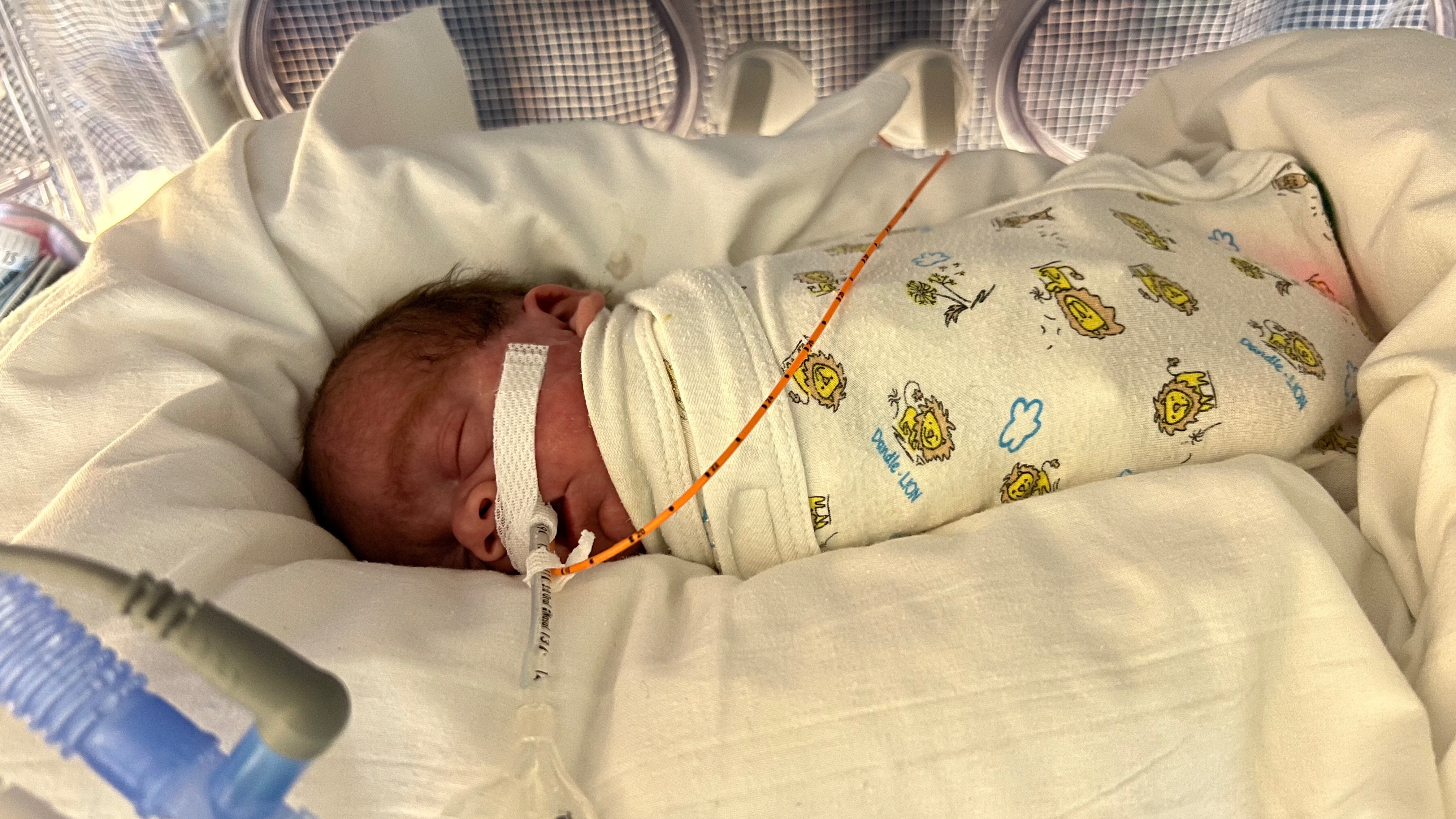 Support Baby Finch’s NICU Journey campaign photo, 6 of 8