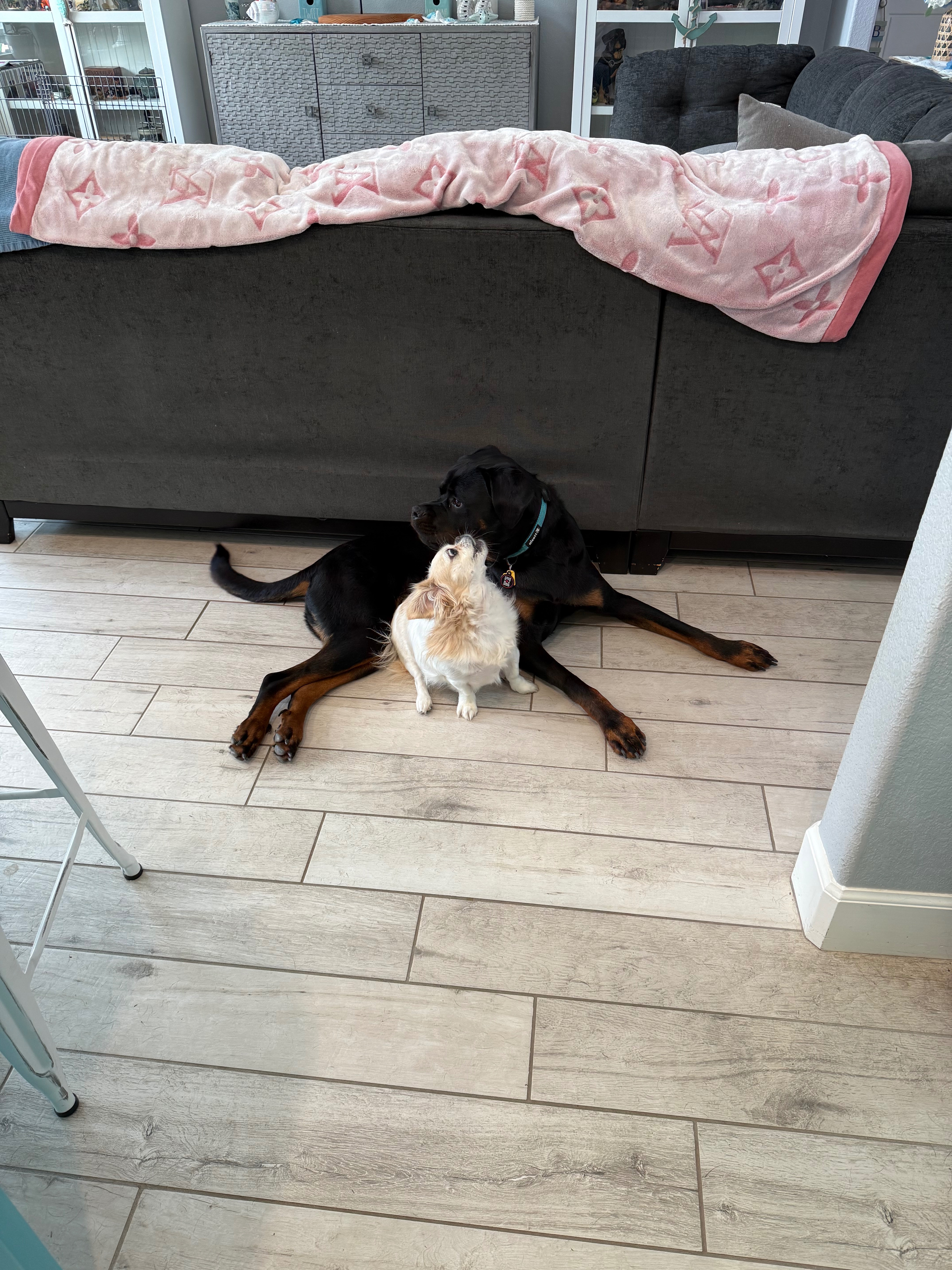 Support Jaxson's Urgent Hip & Knee Surgeries campaign photo, 6 of 7
