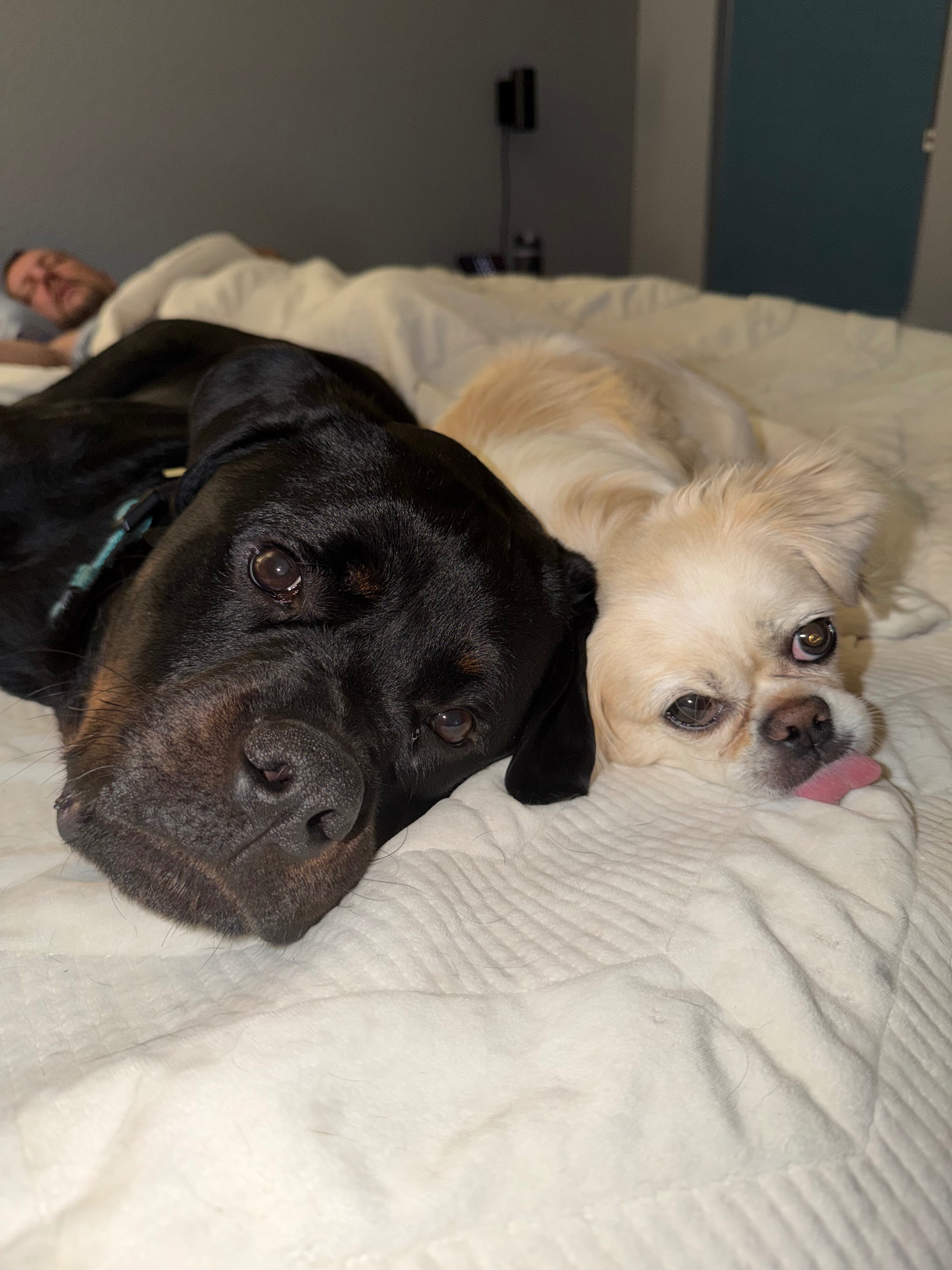 Support Jaxson's Urgent Hip & Knee Surgeries campaign photo, 2 of 7