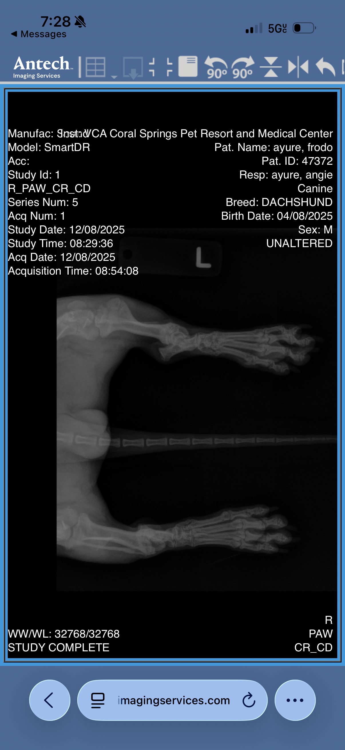 Help Frodo Get Surgery for His Injured Leg campaign photo, 2 of 7