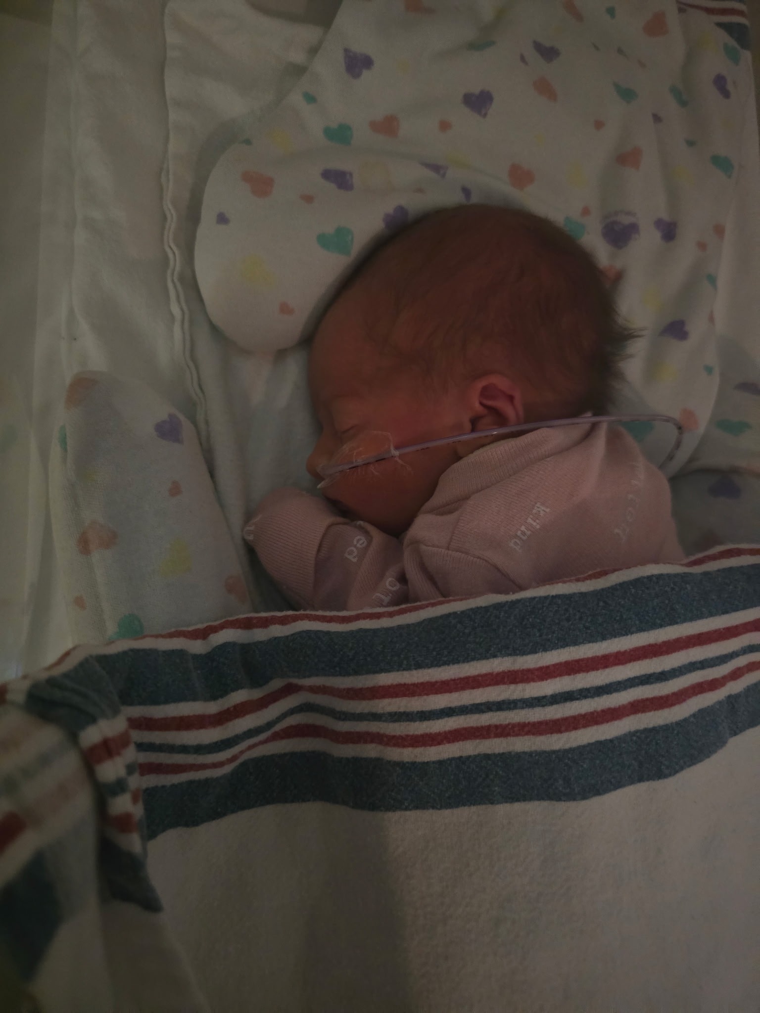 Help Our Lil Preemie Queenie campaign photo, 5 of 8