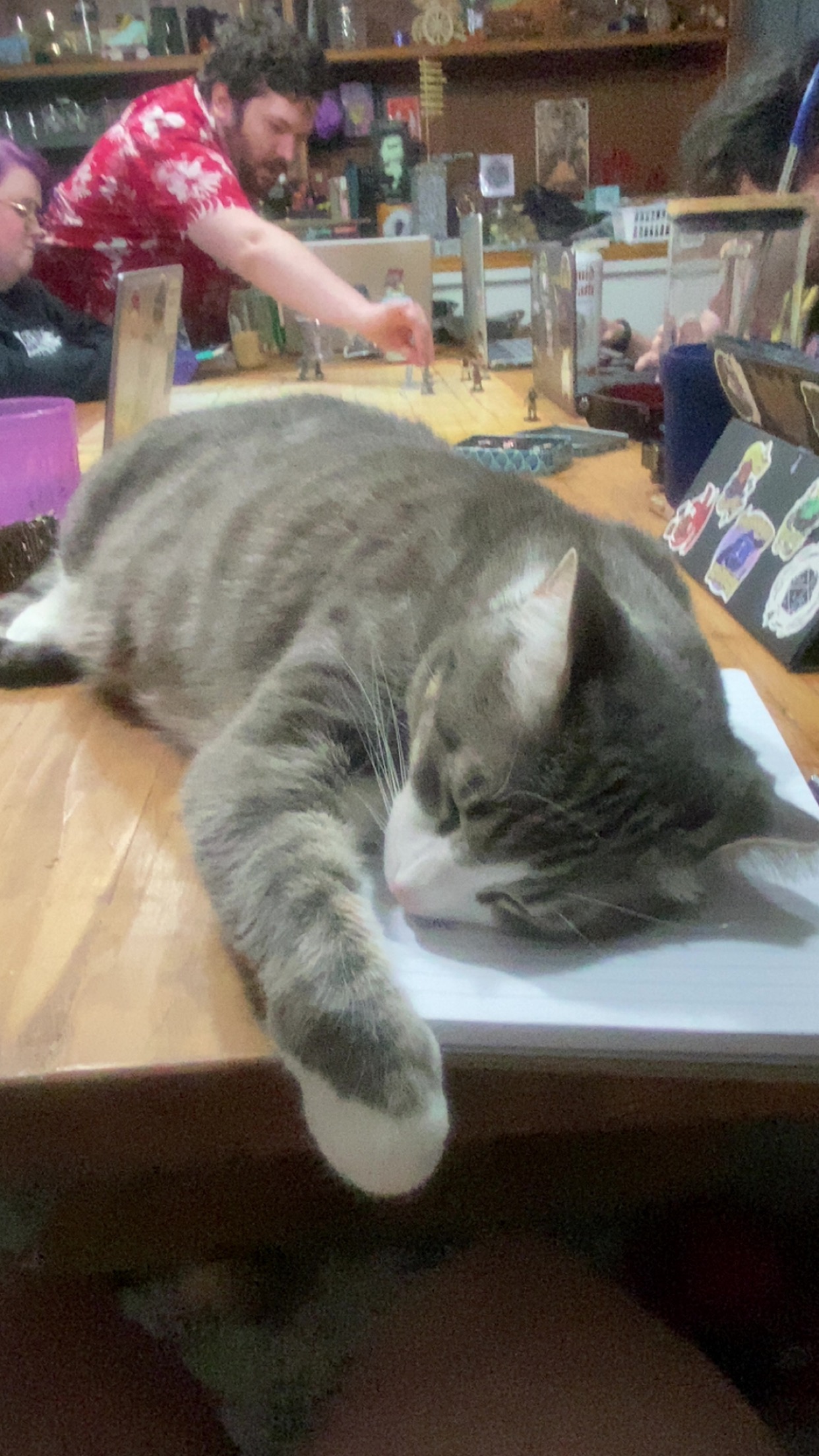 Help Archie Recover from Emergency Surgery campaign photo, 2 of 8