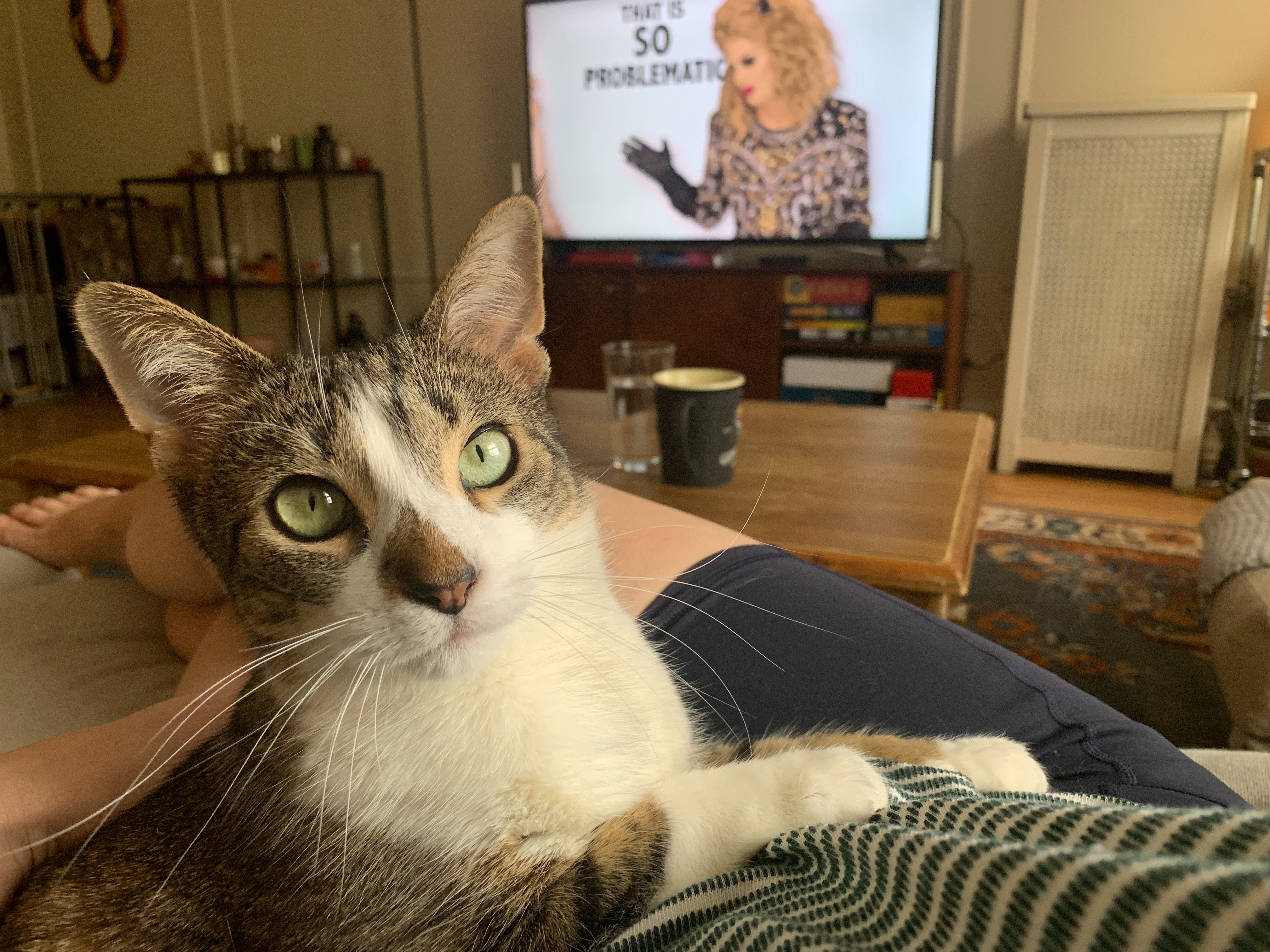 Honoring Sausage: Help Haley with Vet Expenses campaign photo, 2 of 4