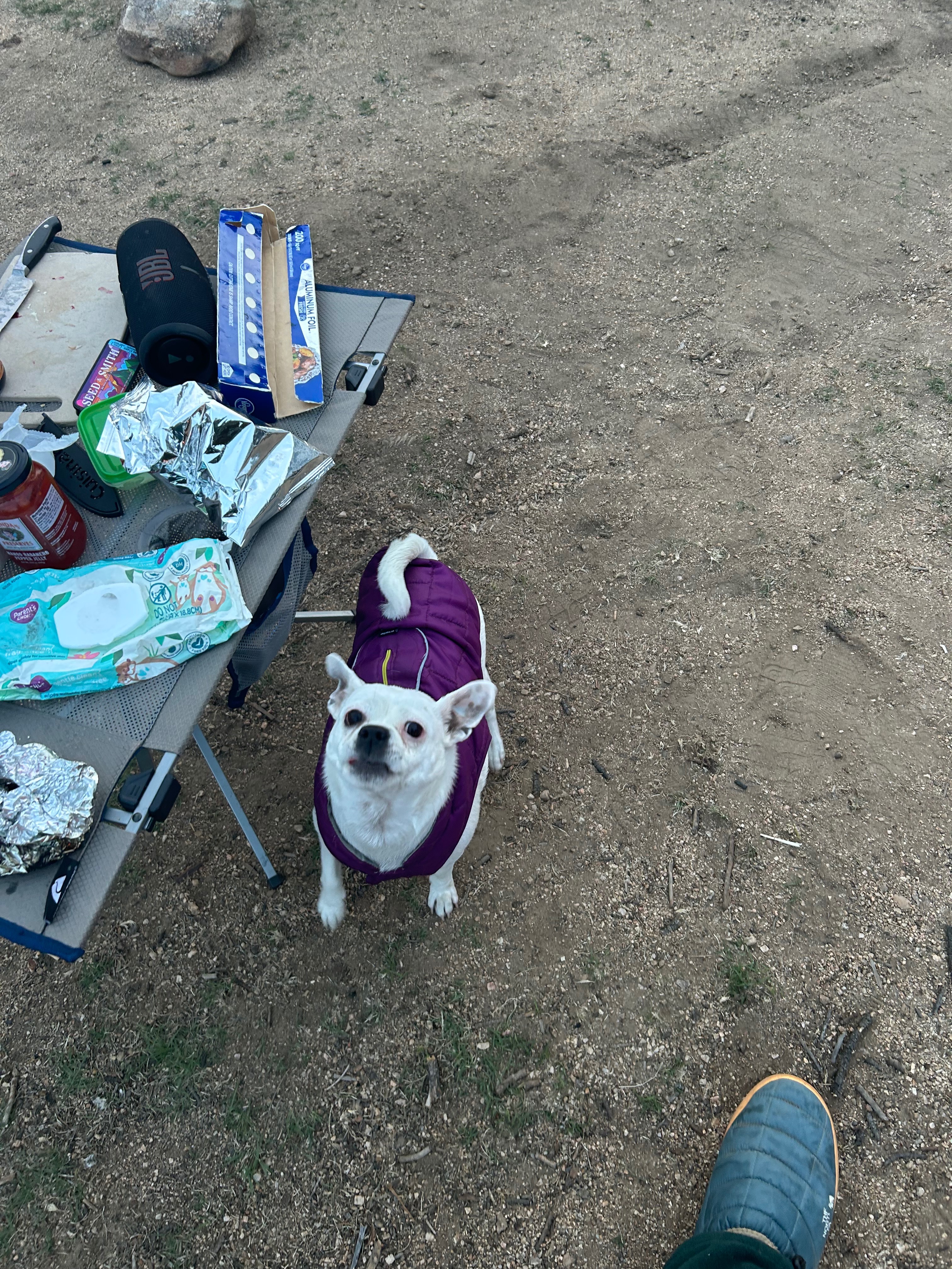 Help Magnolia Get Life-Saving Surgery campaign photo, 6 of 8