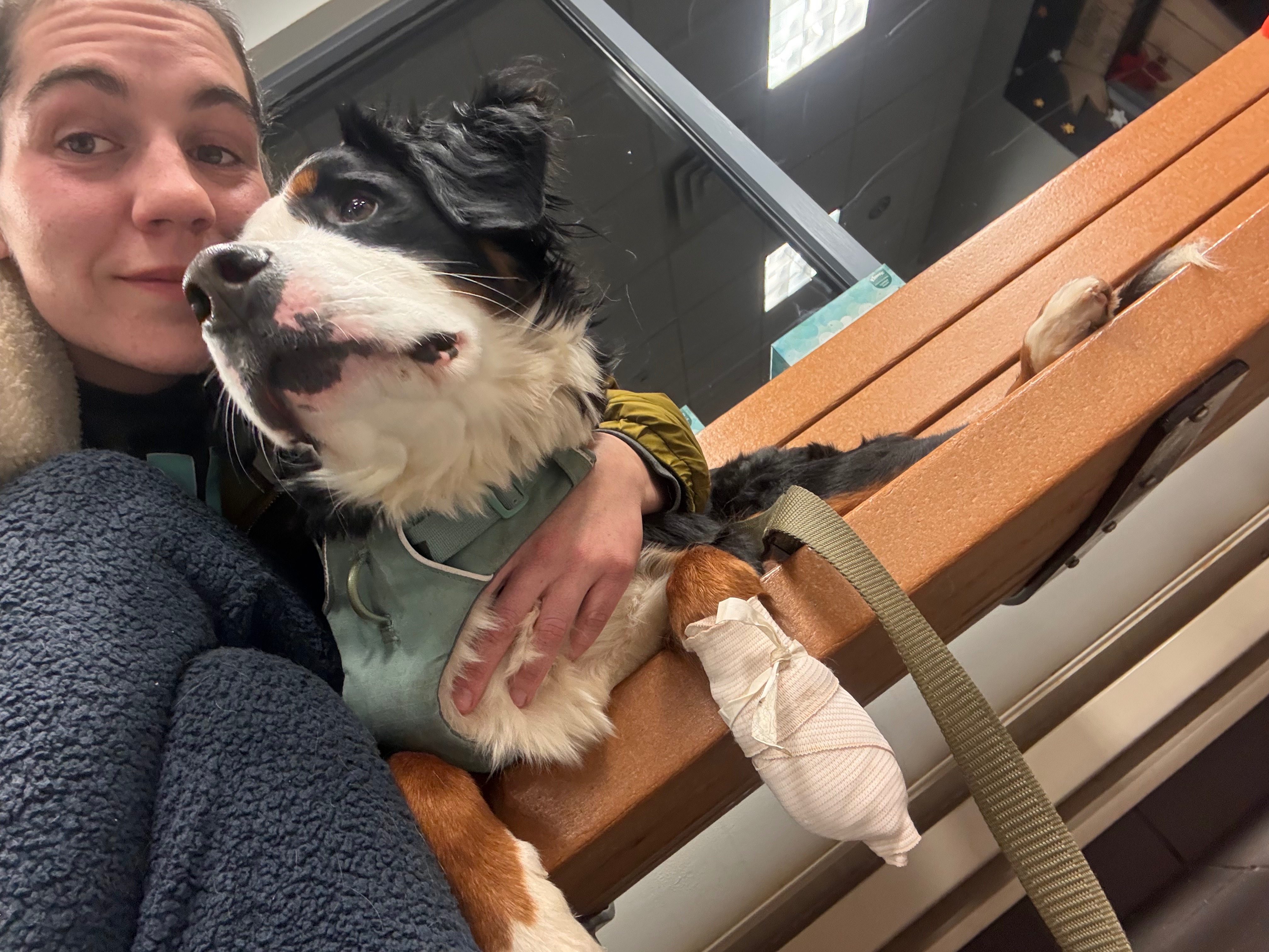 Getting back on track and Vet Bills campaign photo, 5 of 6