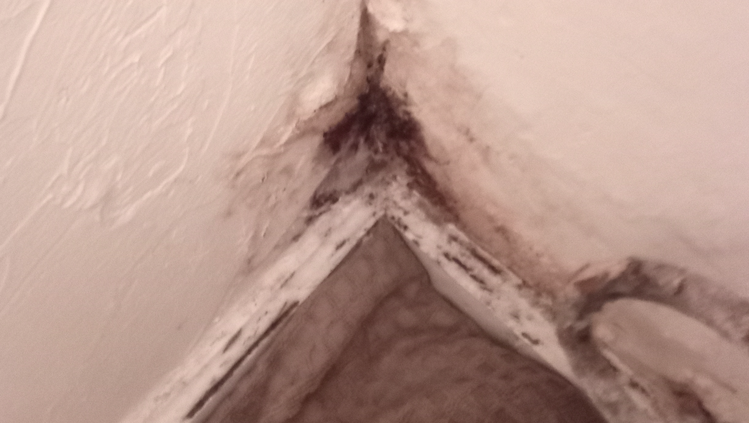 Donate to Help Lisa Buy a Car and Move photo