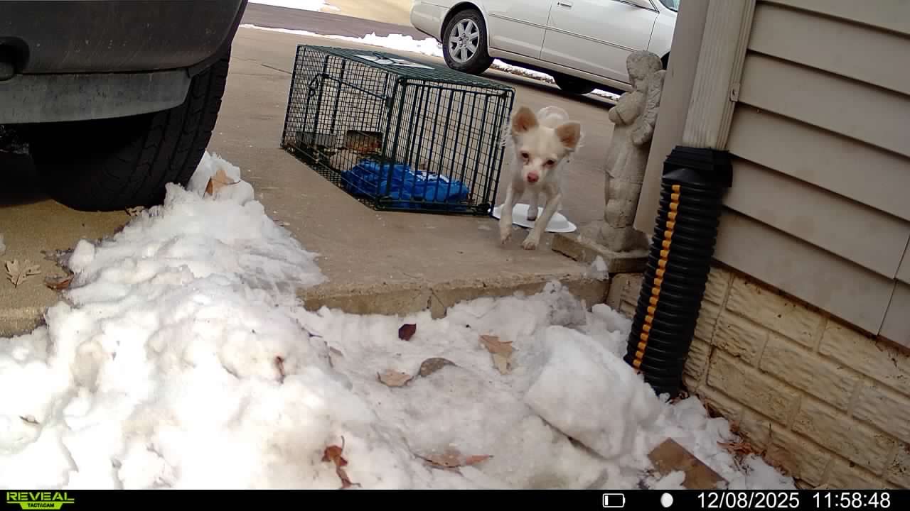 Help Fund an Advanced Drone for Lost Pet Searches campaign photo, 6 of 7