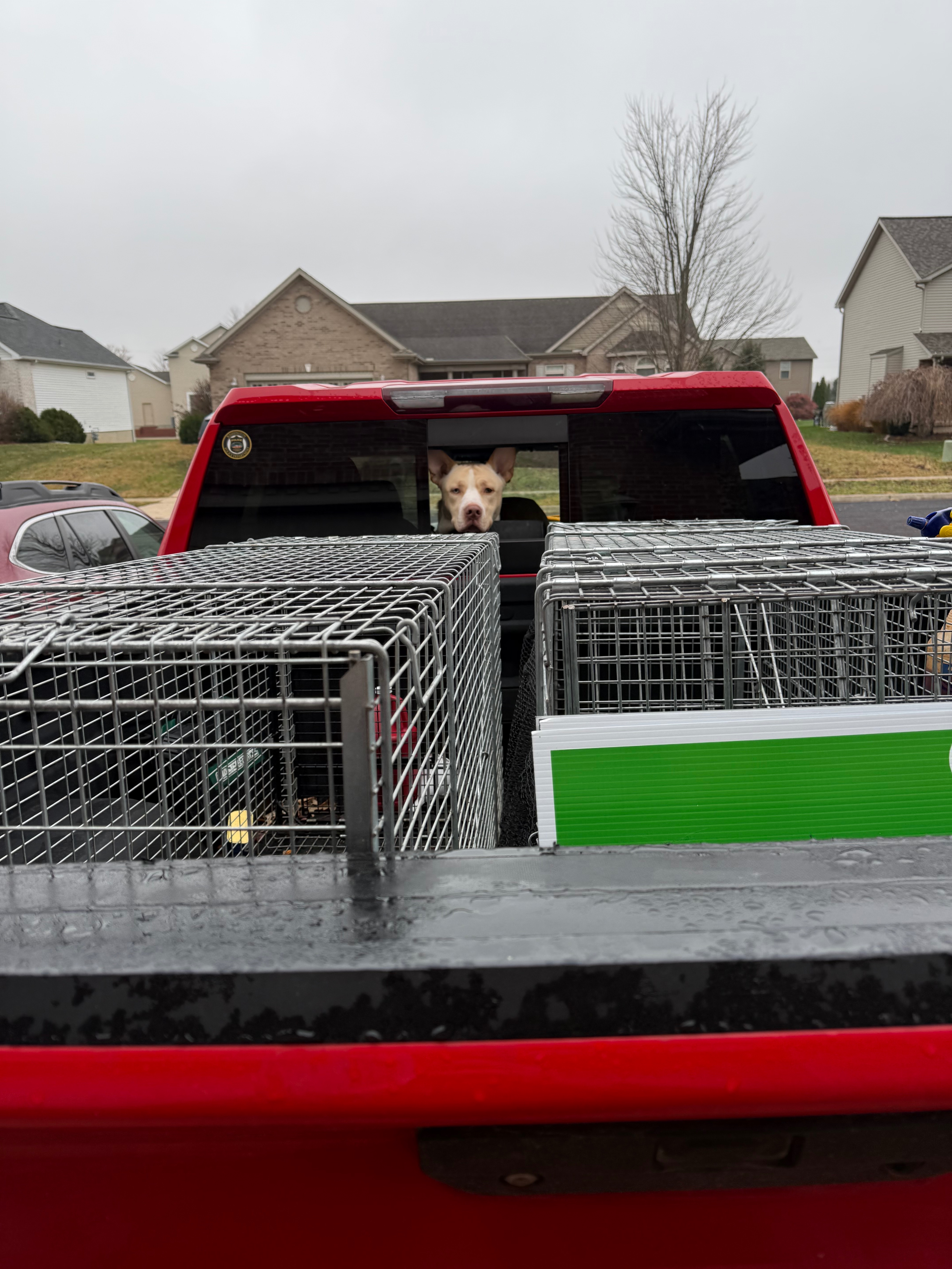 Help Fund an Advanced Drone for Lost Pet Searches campaign photo, 5 of 7
