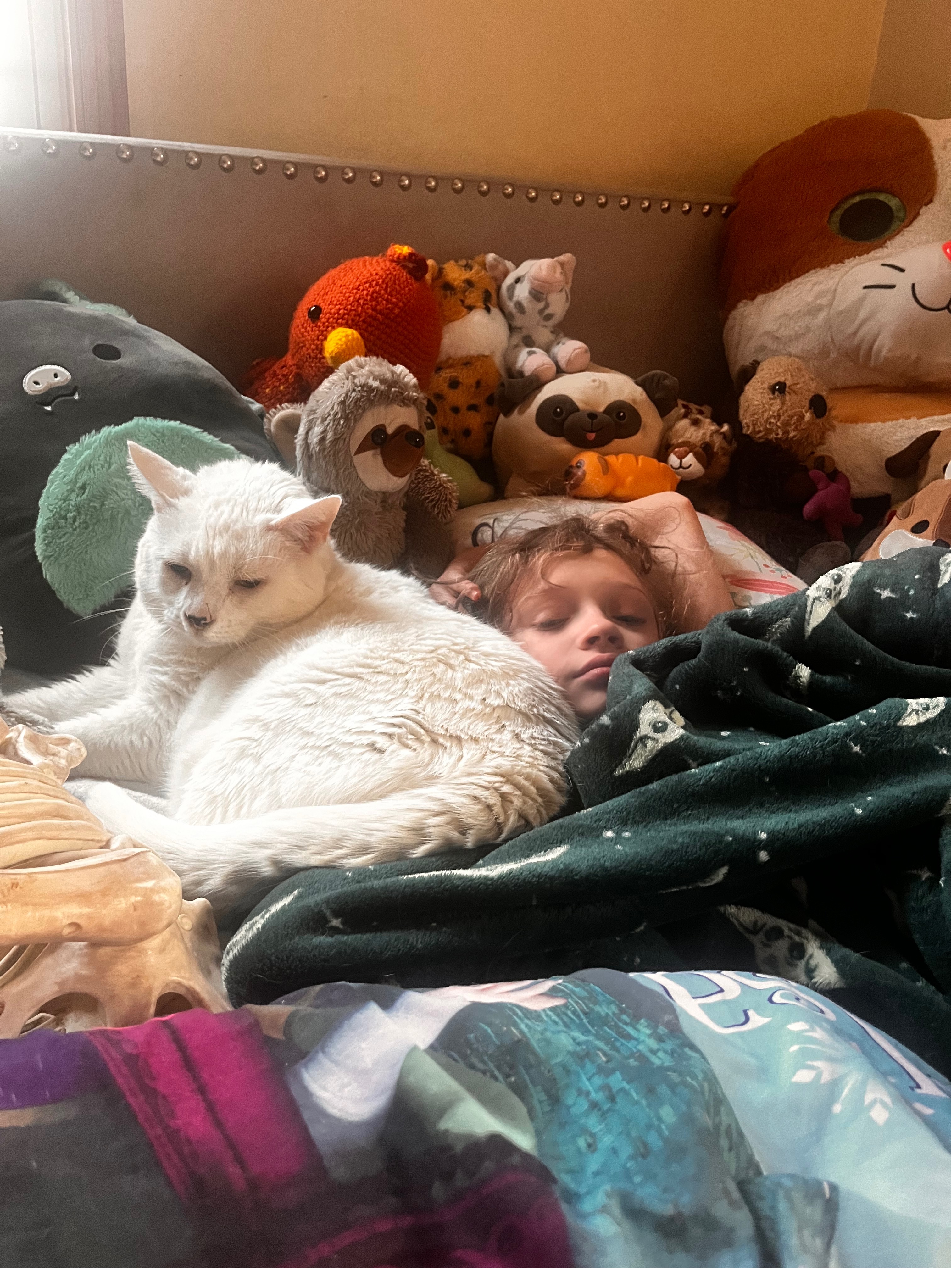 Help Save Ezra: Emergency Vet Care campaign photo, 6 of 8