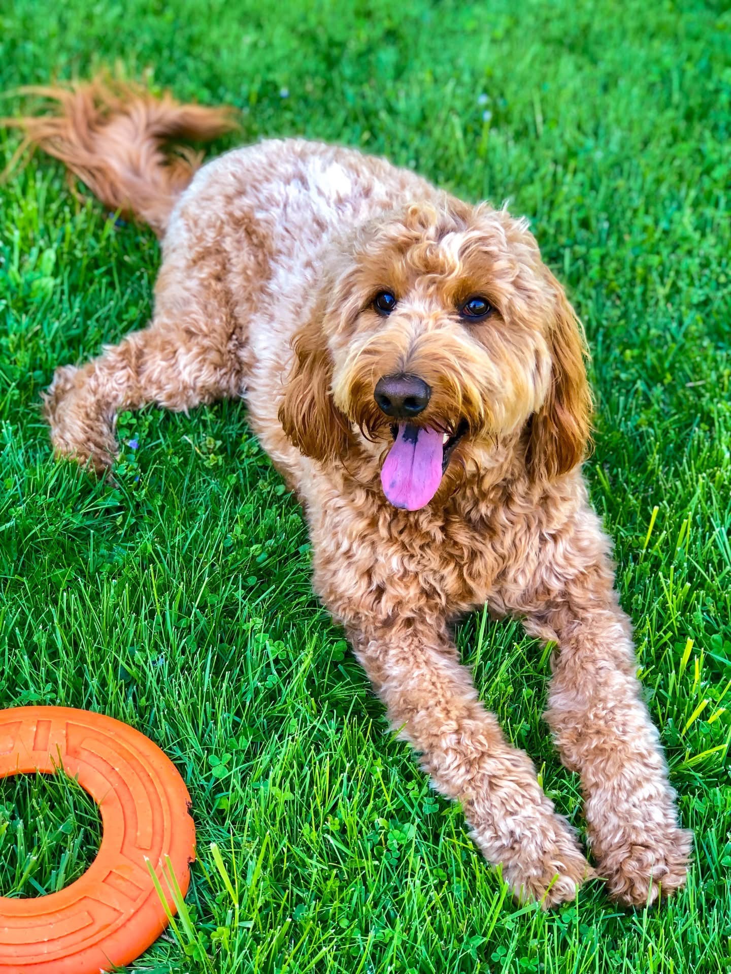 Pennies for Penny campaign photo, 5 of 8