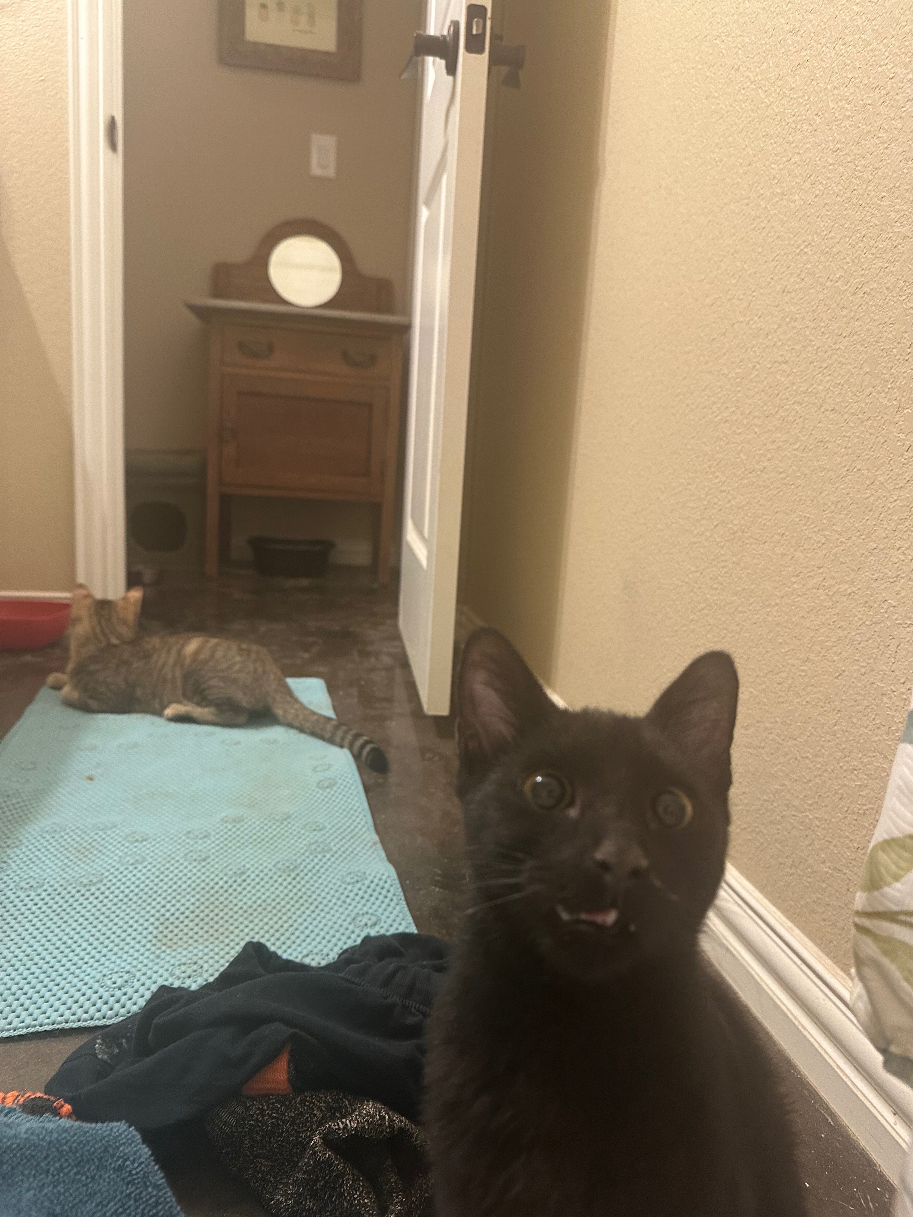 Help briar fix his broken jaw campaign photo, 5 of 8