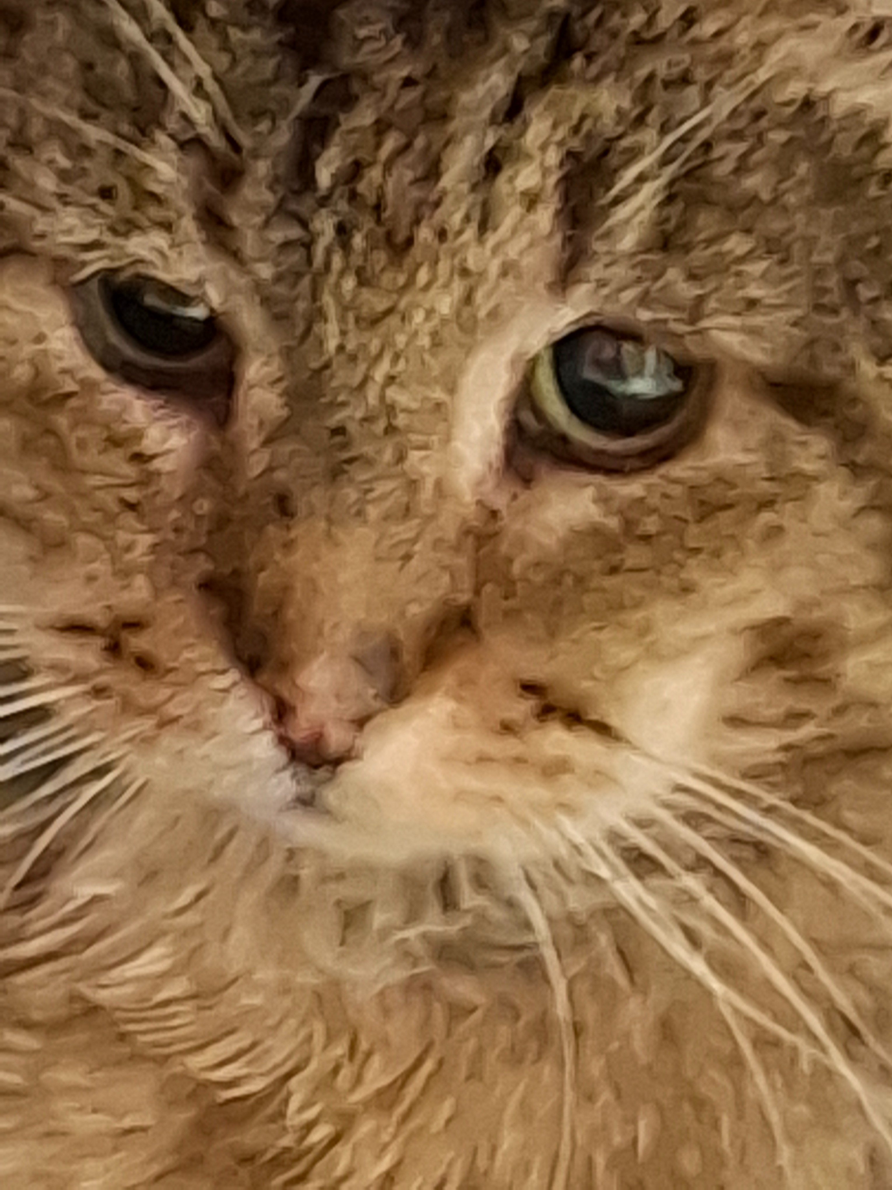 Please help grandad to have his dental campaign photo, 4 of 8