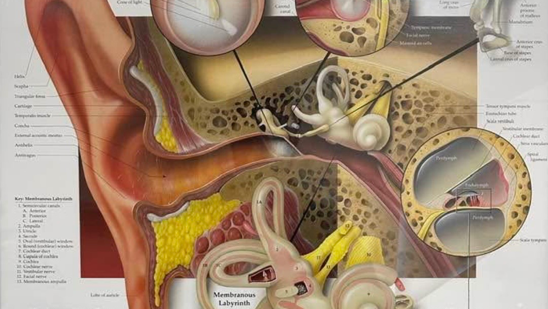 In Remission: Spreading Hope and Faith pinned link photo