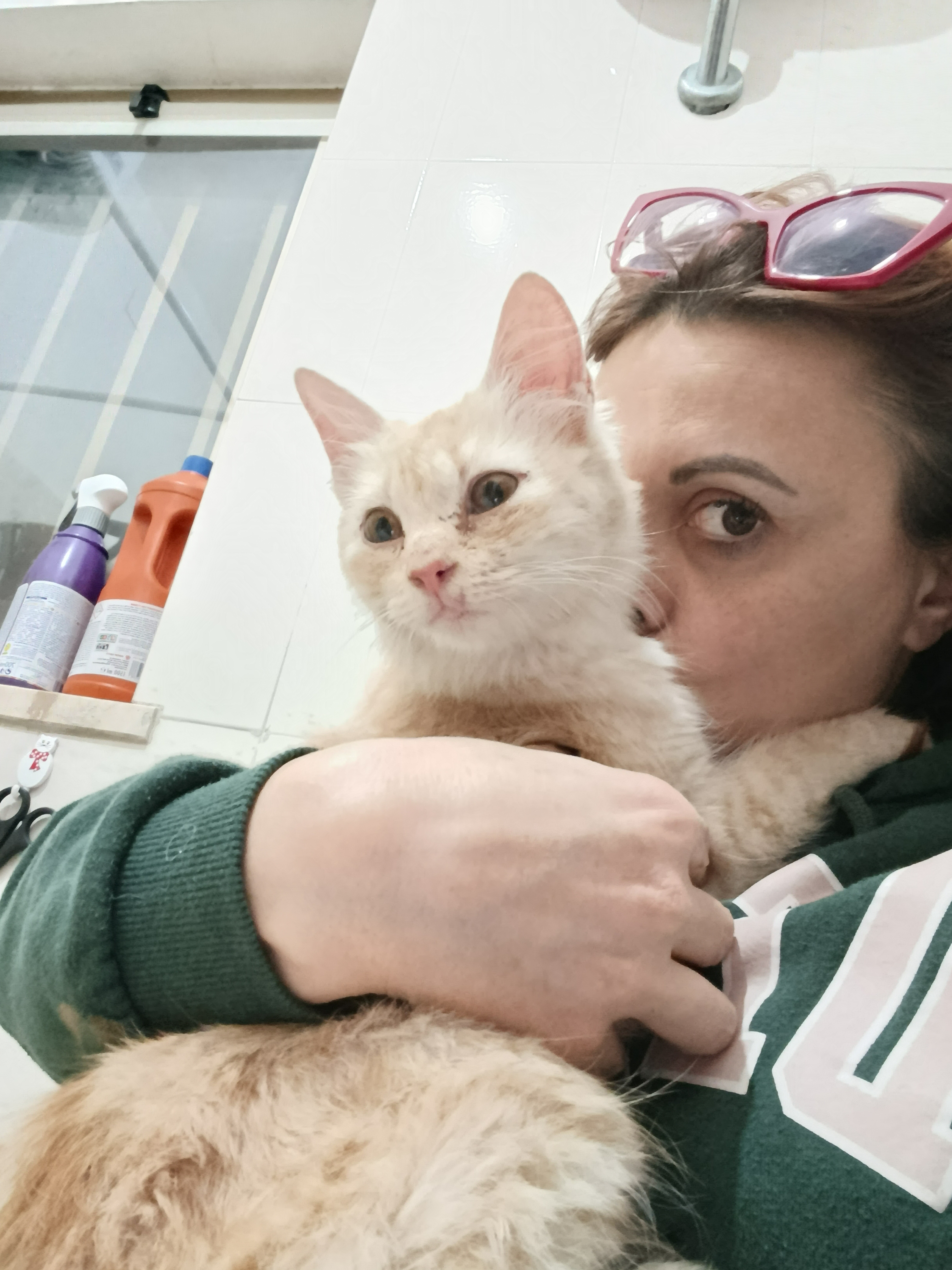 Raccolta per spese veterinarie Alfred, Ozzy, Biscotto e Lola campaign photo, 4 of 4