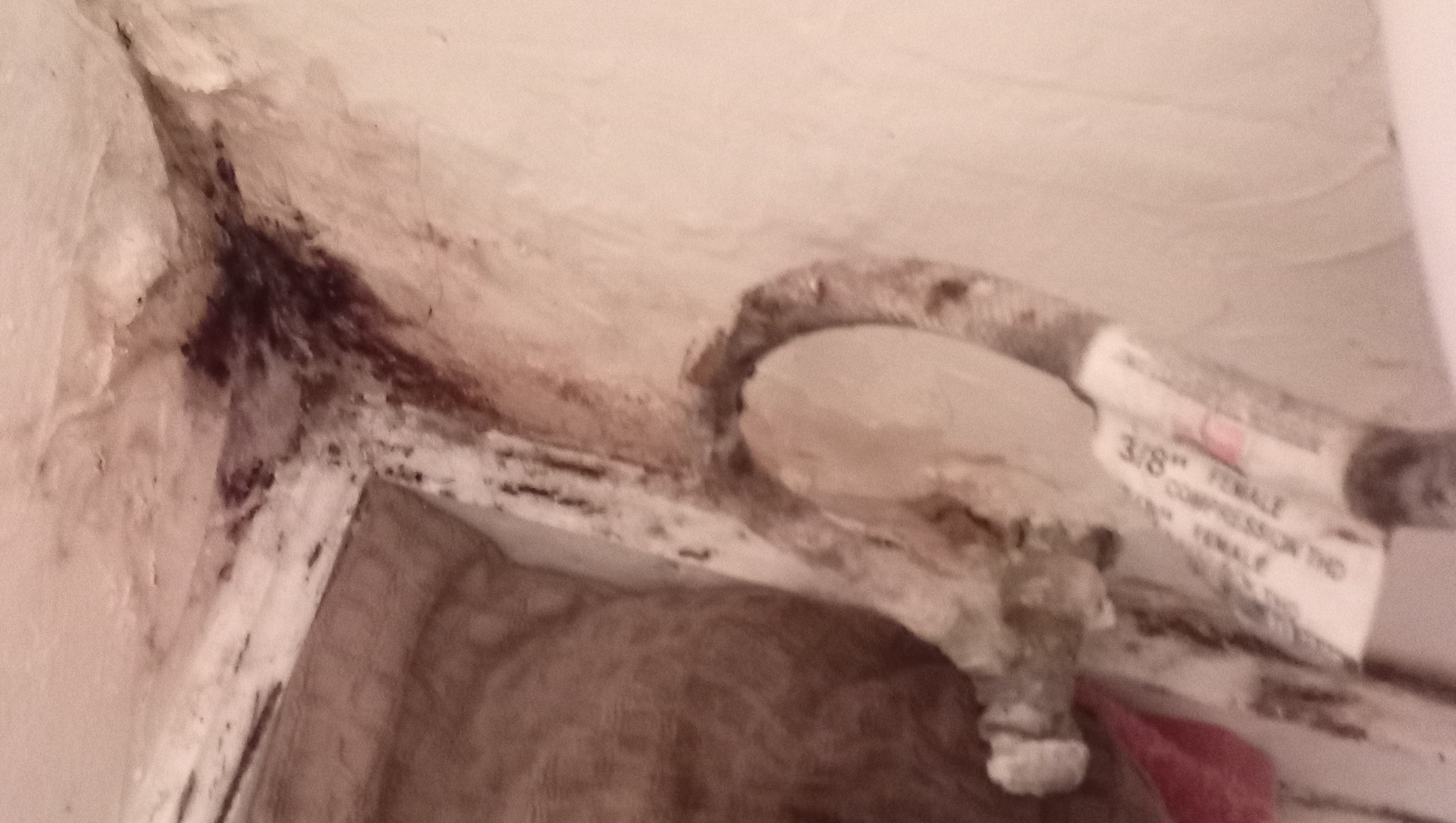 Help Lisa's Family Start Fresh photo