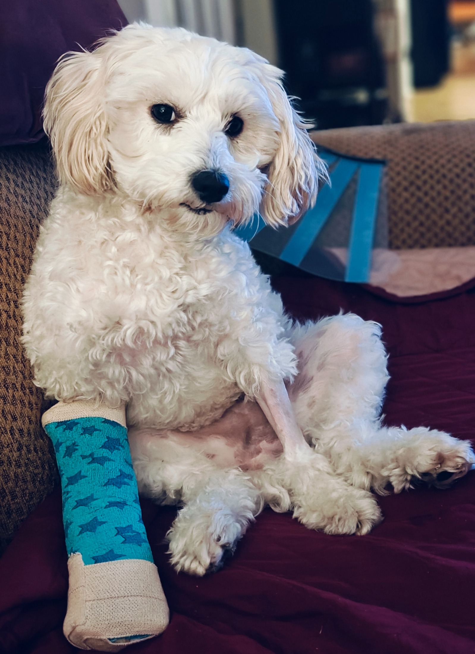 "Please don't let them take my leg" campaign photo, 7 of 8