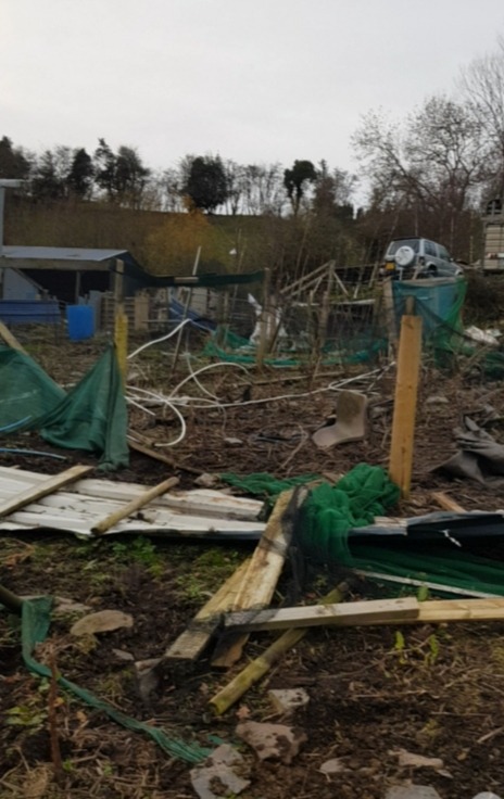 To repair damage after storm campaign photo, 6 of 7