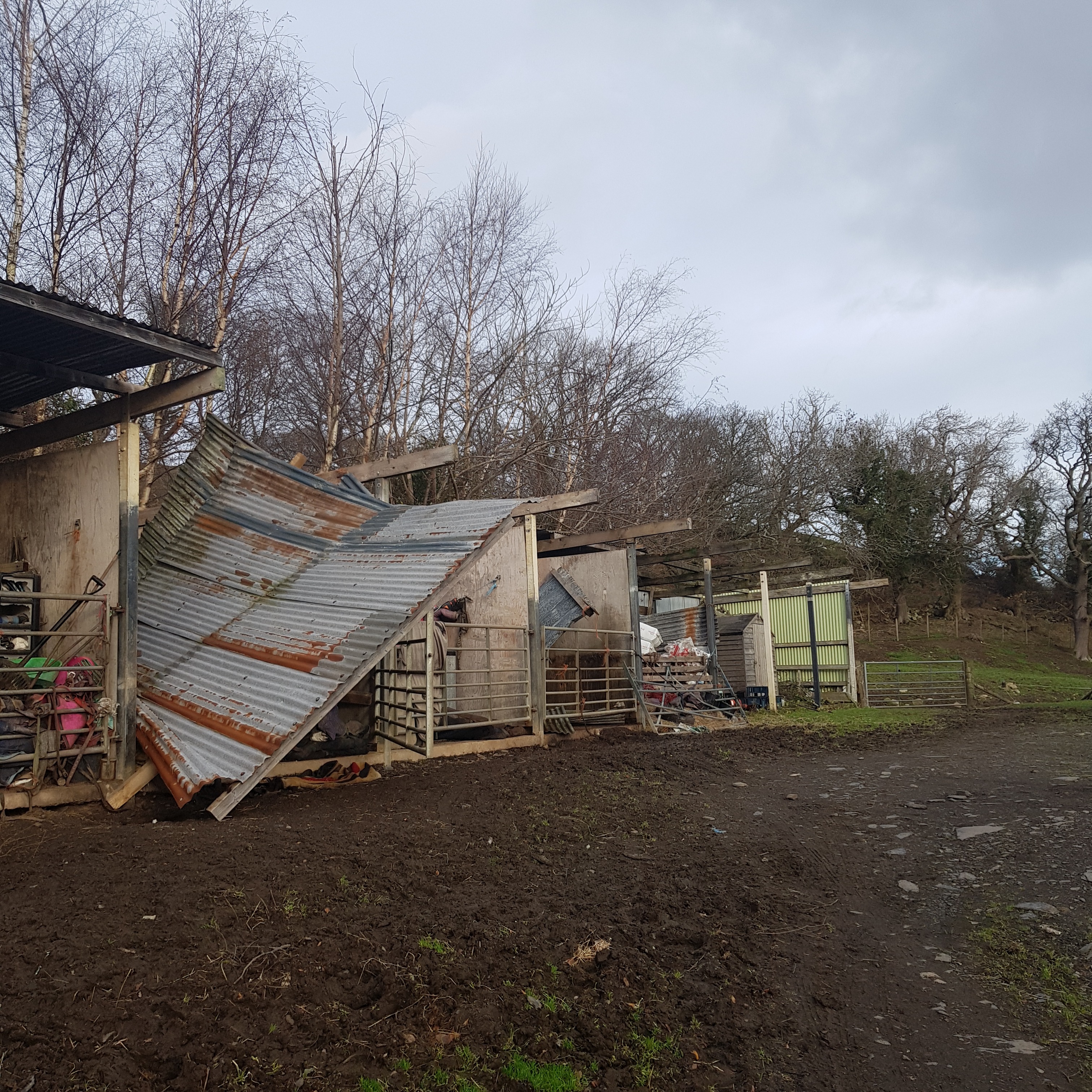 To repair damage after storm campaign photo, 5 of 7
