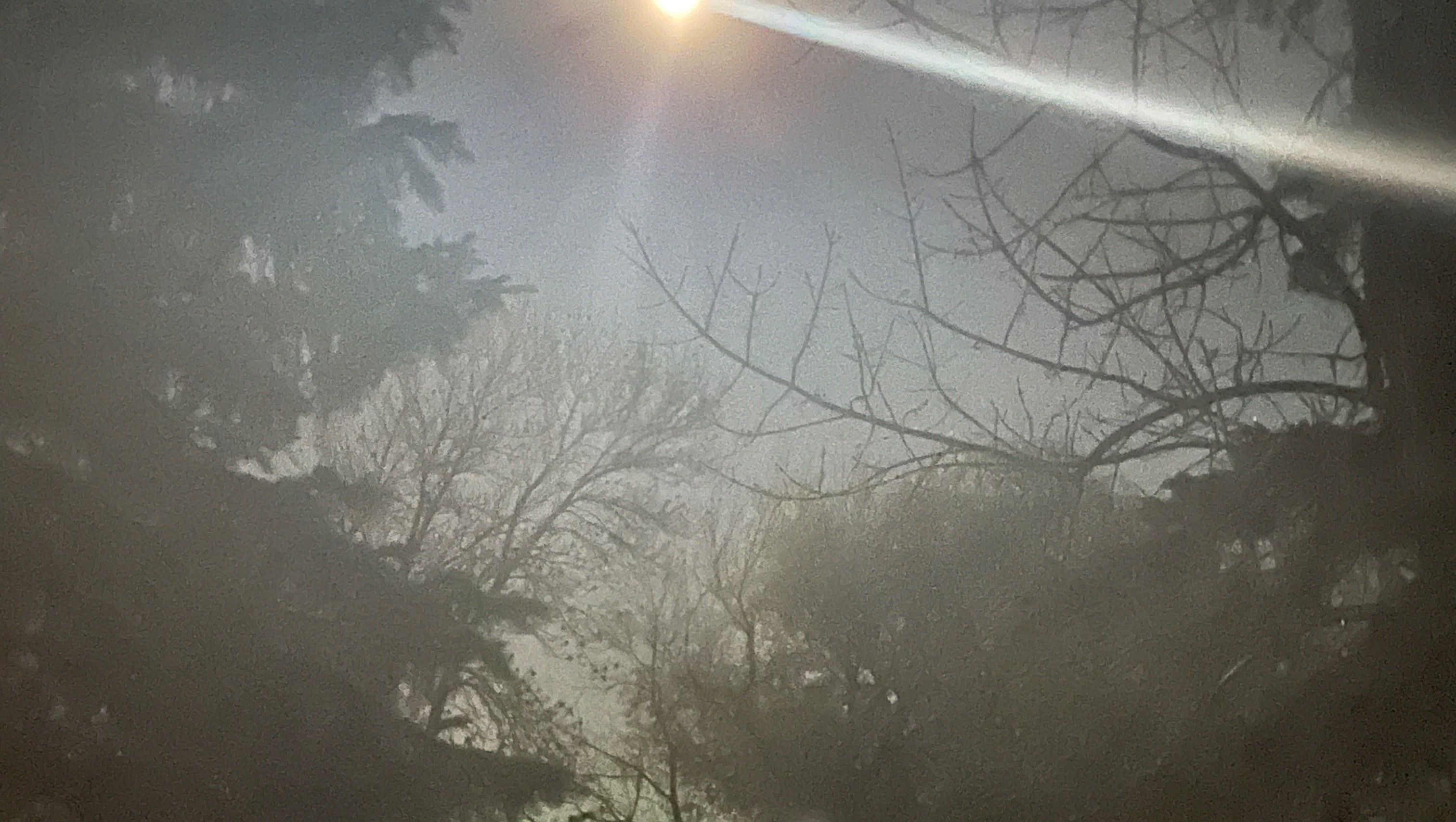 Help Disabled Friend Rebuild After Divorce photo