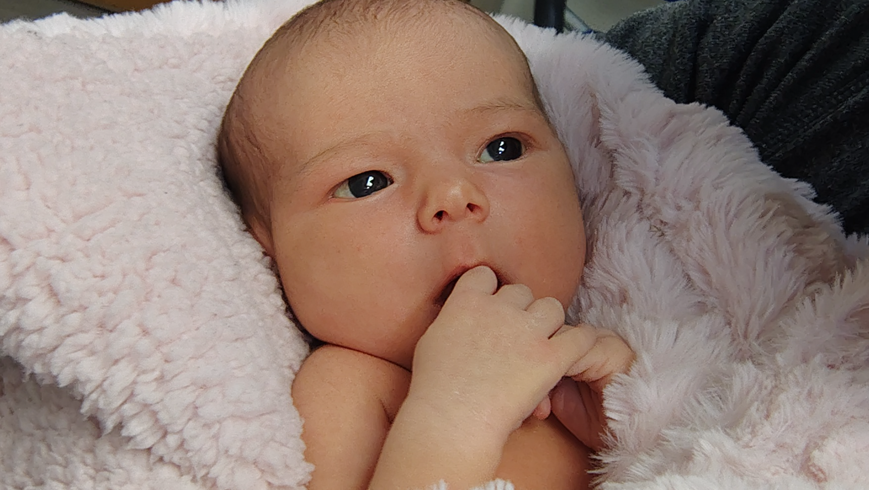 Support Lloyd's Fight for Custody of Liora photo