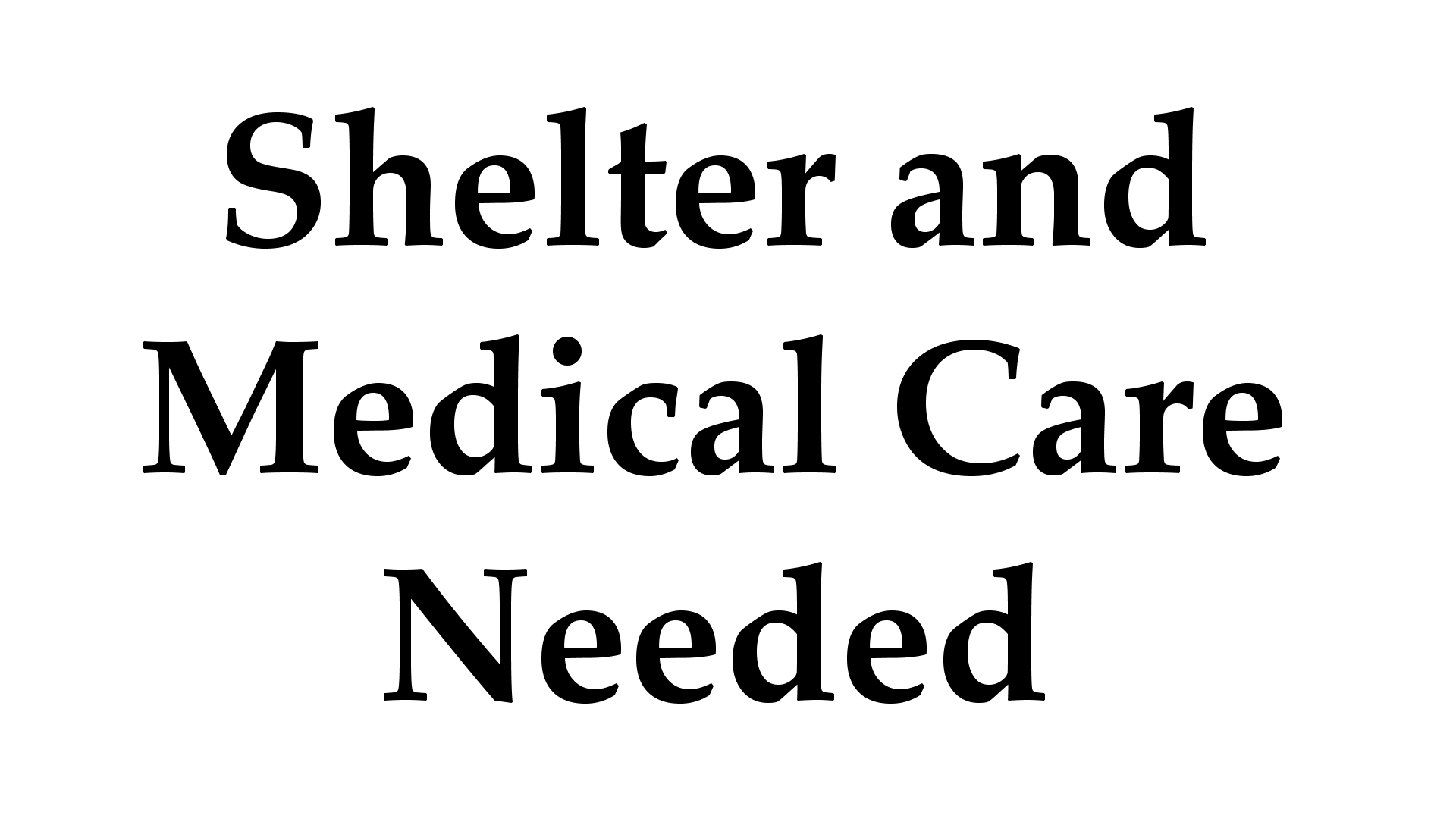 Shelter and Care for Makenzie’s Medical Journey campaign photo, 2 of 4