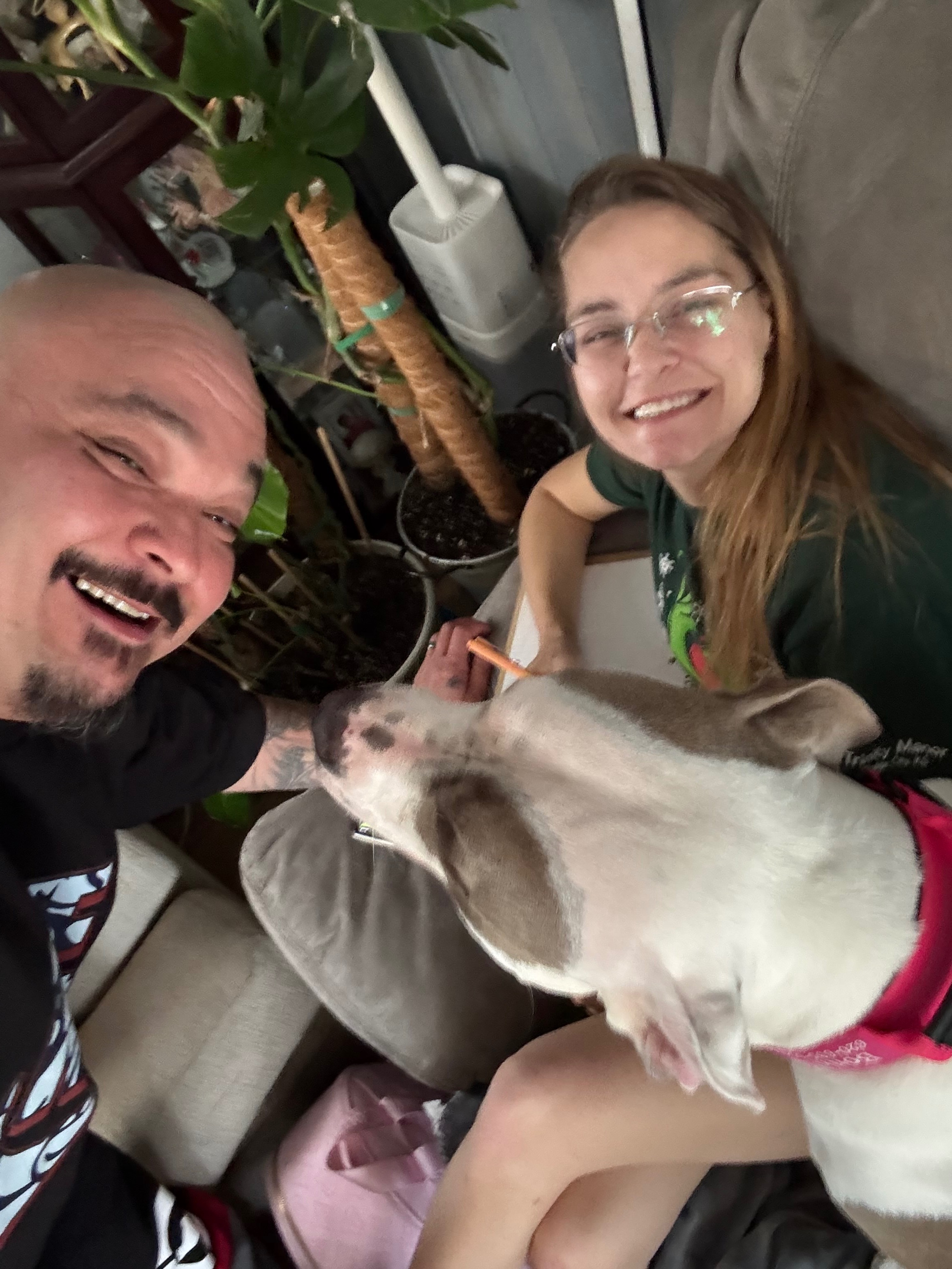 Support Marisa’s Recovery and Her Twin Girls campaign photo, 4 of 7