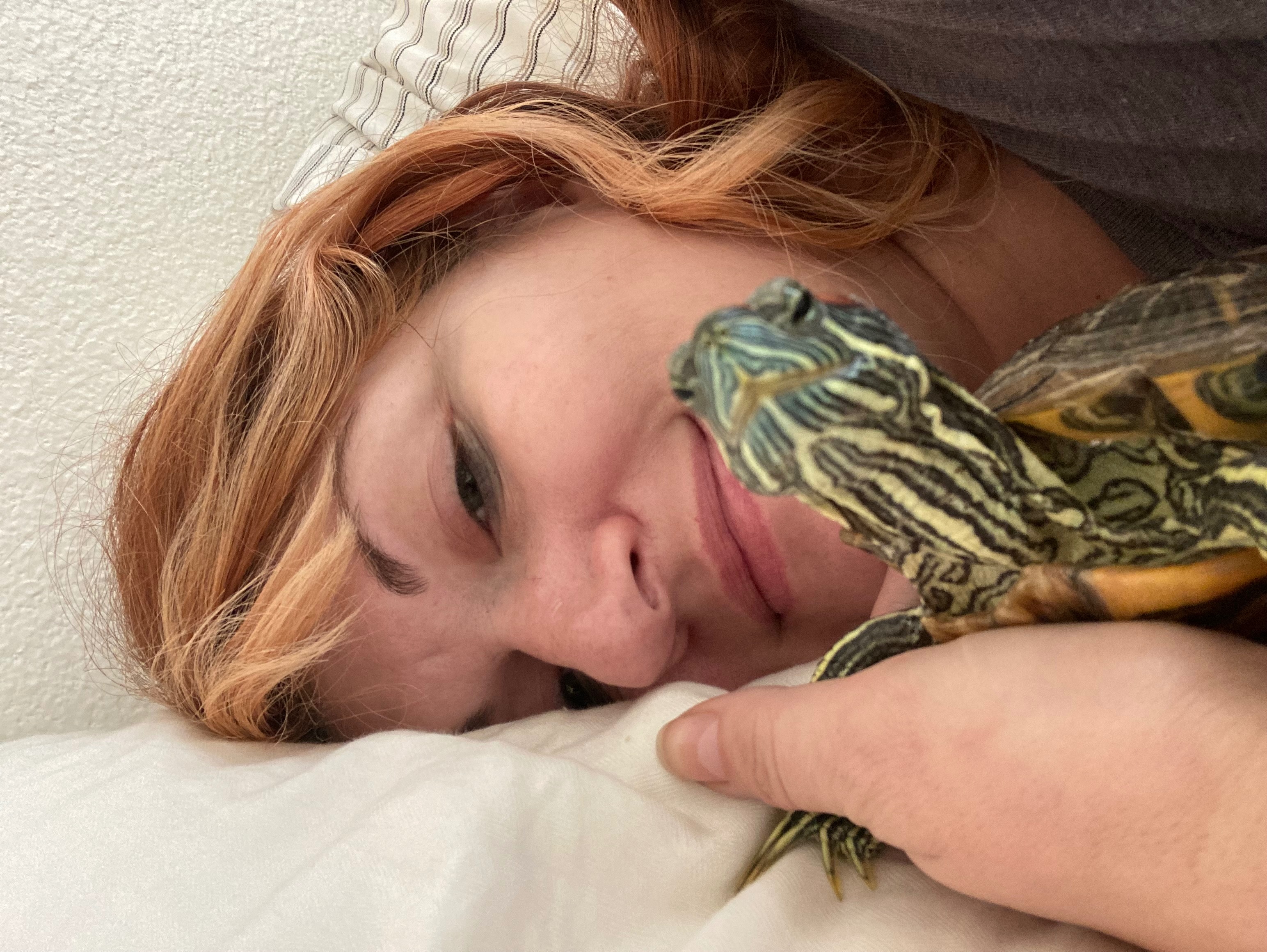 Help us rescue & support & spoil more turtles! campaign photo, 4 of 8