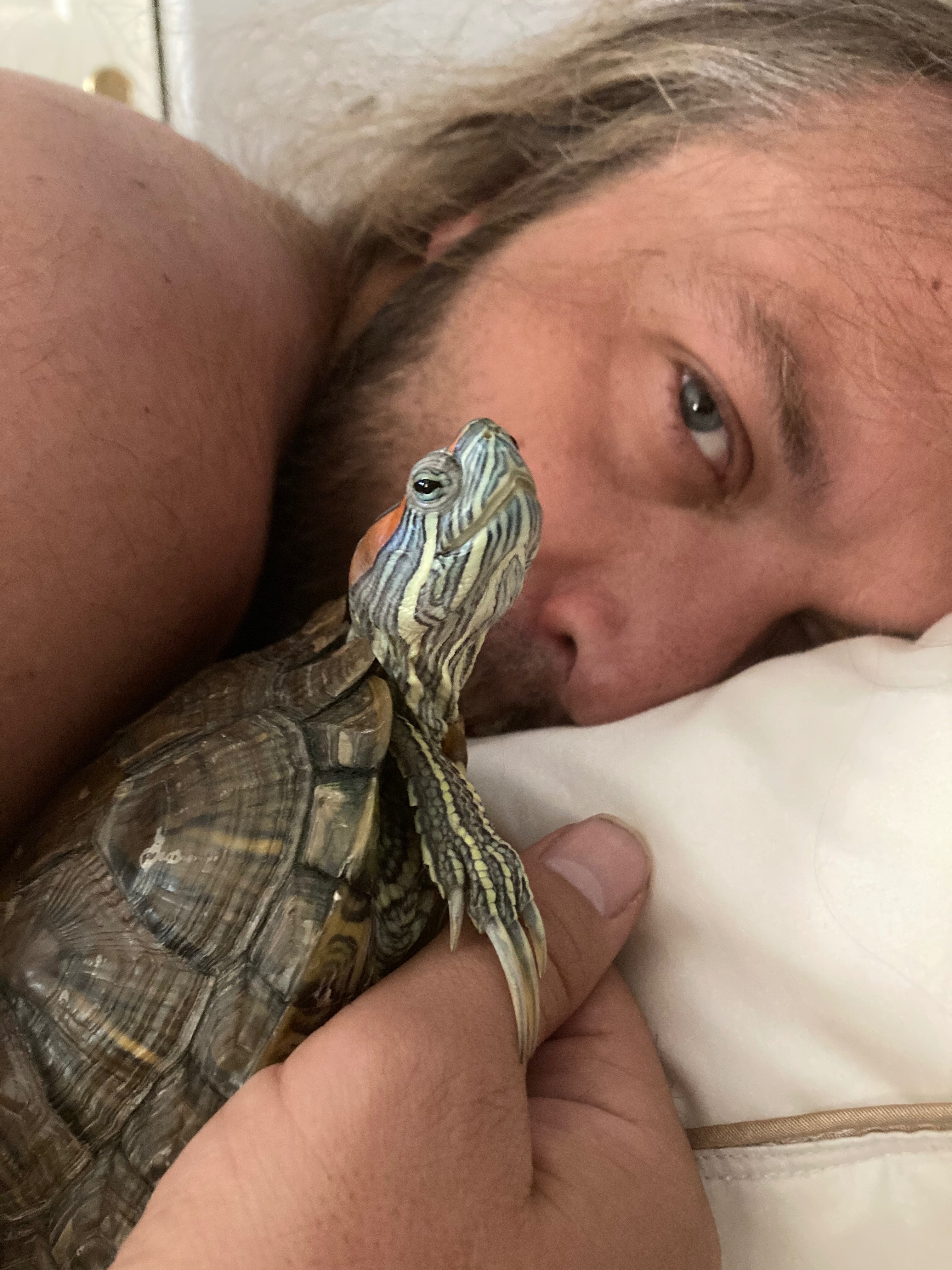 Help us rescue & support & spoil more turtles! campaign photo, 5 of 8