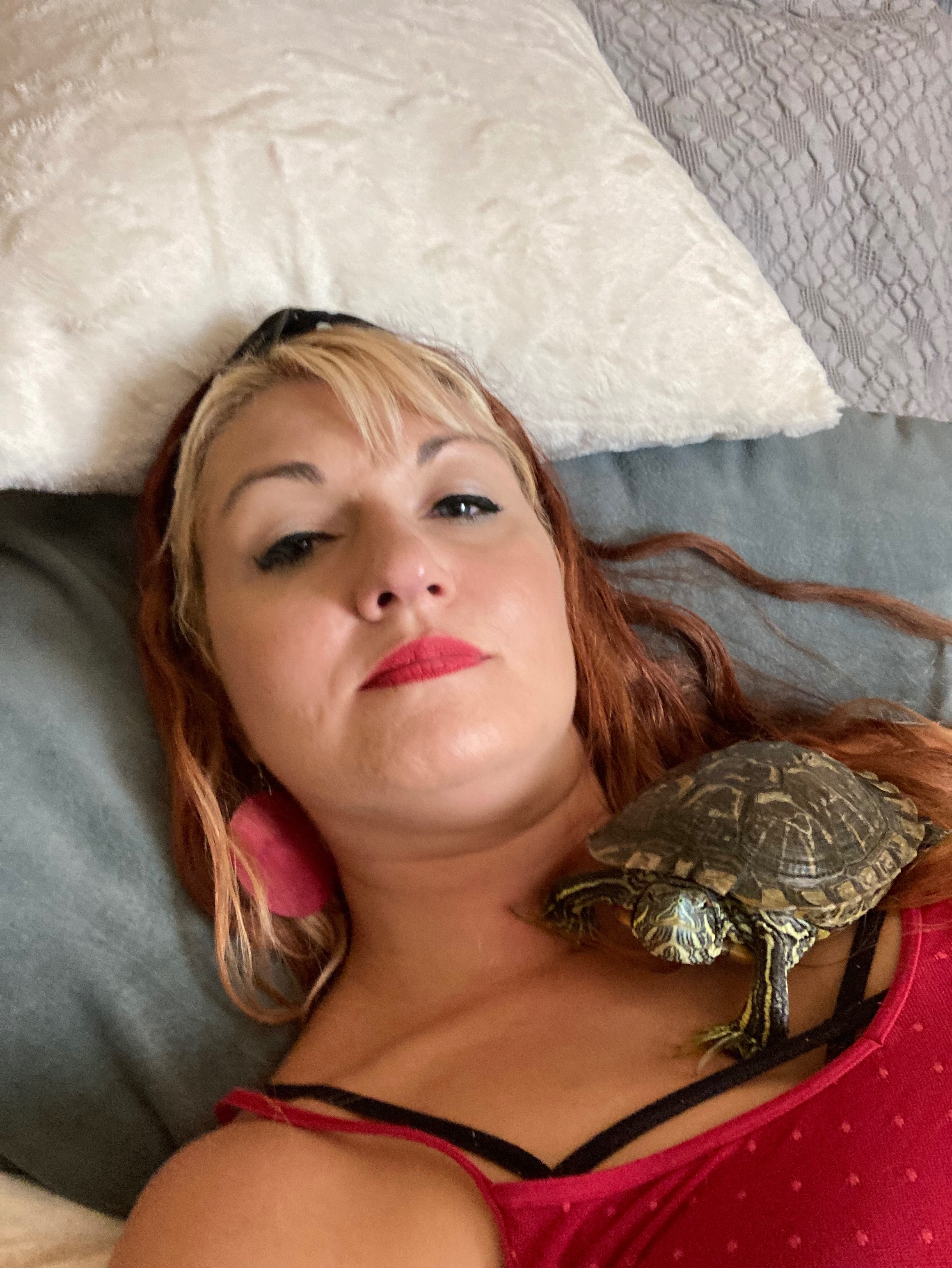 Help us rescue & support & spoil more turtles! campaign photo, 6 of 8