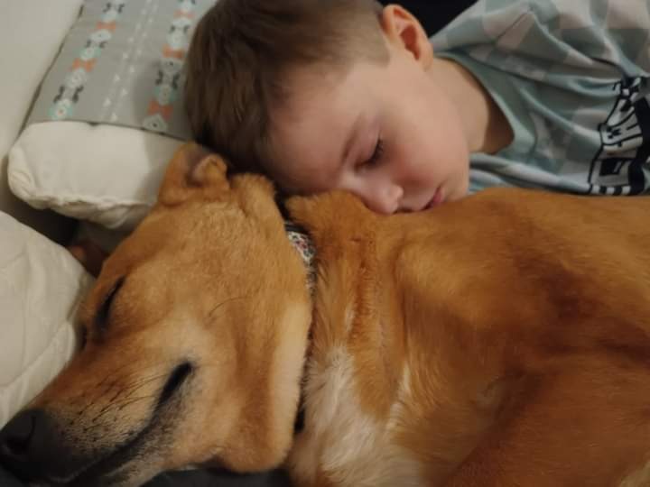 Help Annie Get Her Surgery campaign photo, 2 of 8