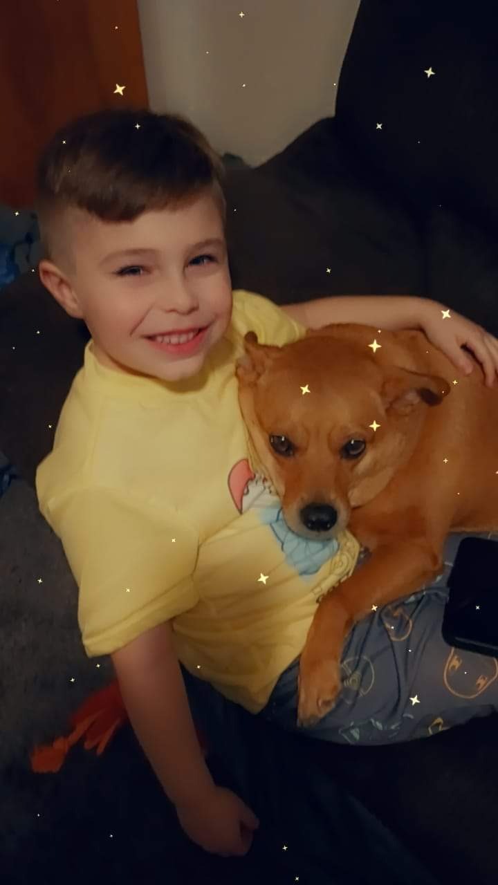 Help Annie Get Her Surgery campaign photo, 4 of 8