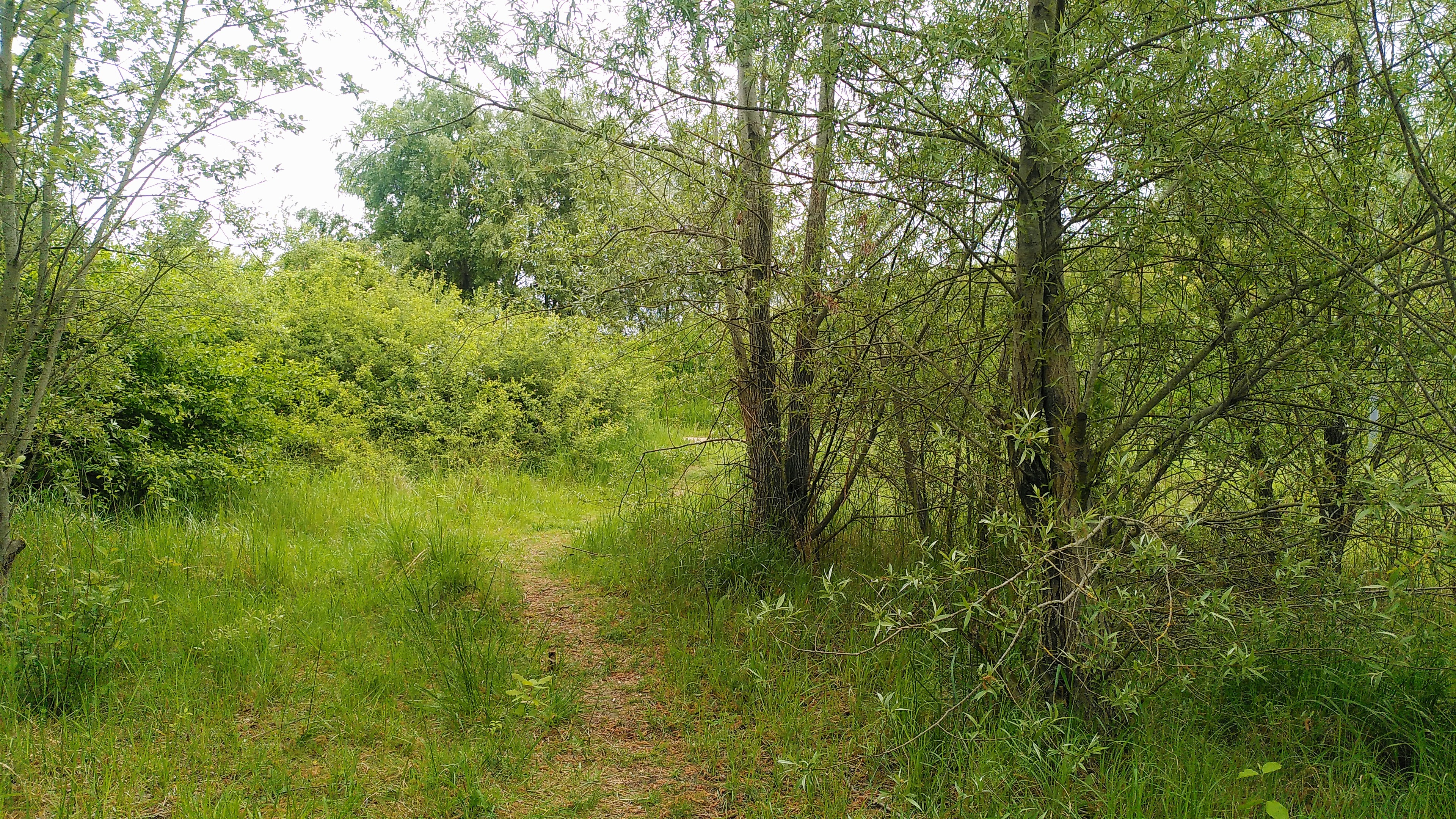 Red het Arbedpark! campaign photo, 5 of 7