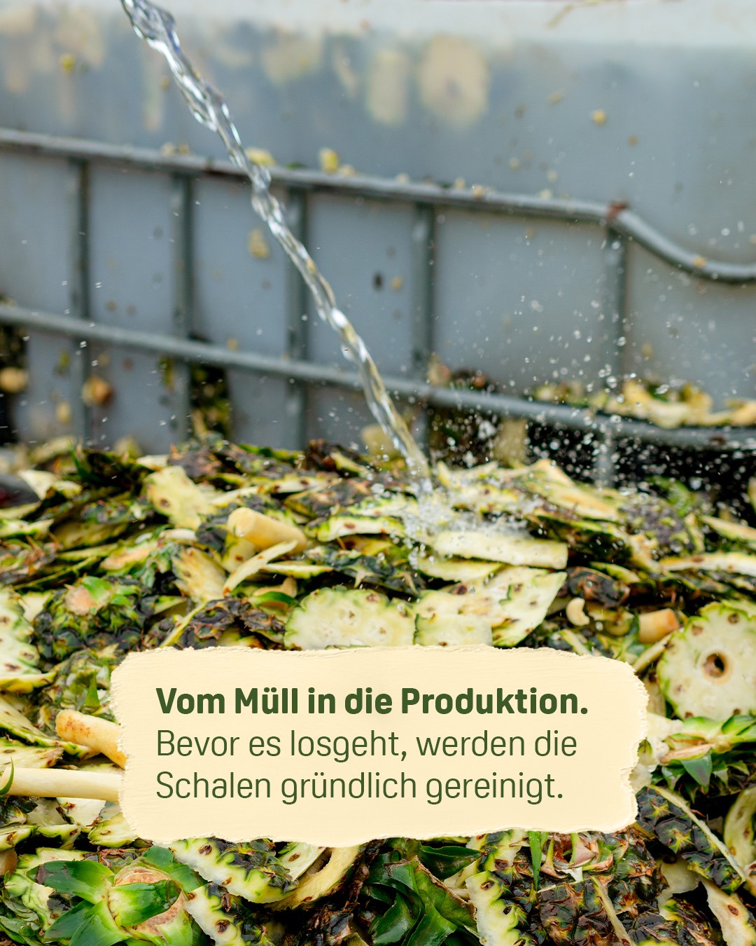 Startup für Öko-Enzyme: Starker Umwelt- & Gesundheitsschutz campaign photo, 2 of 8