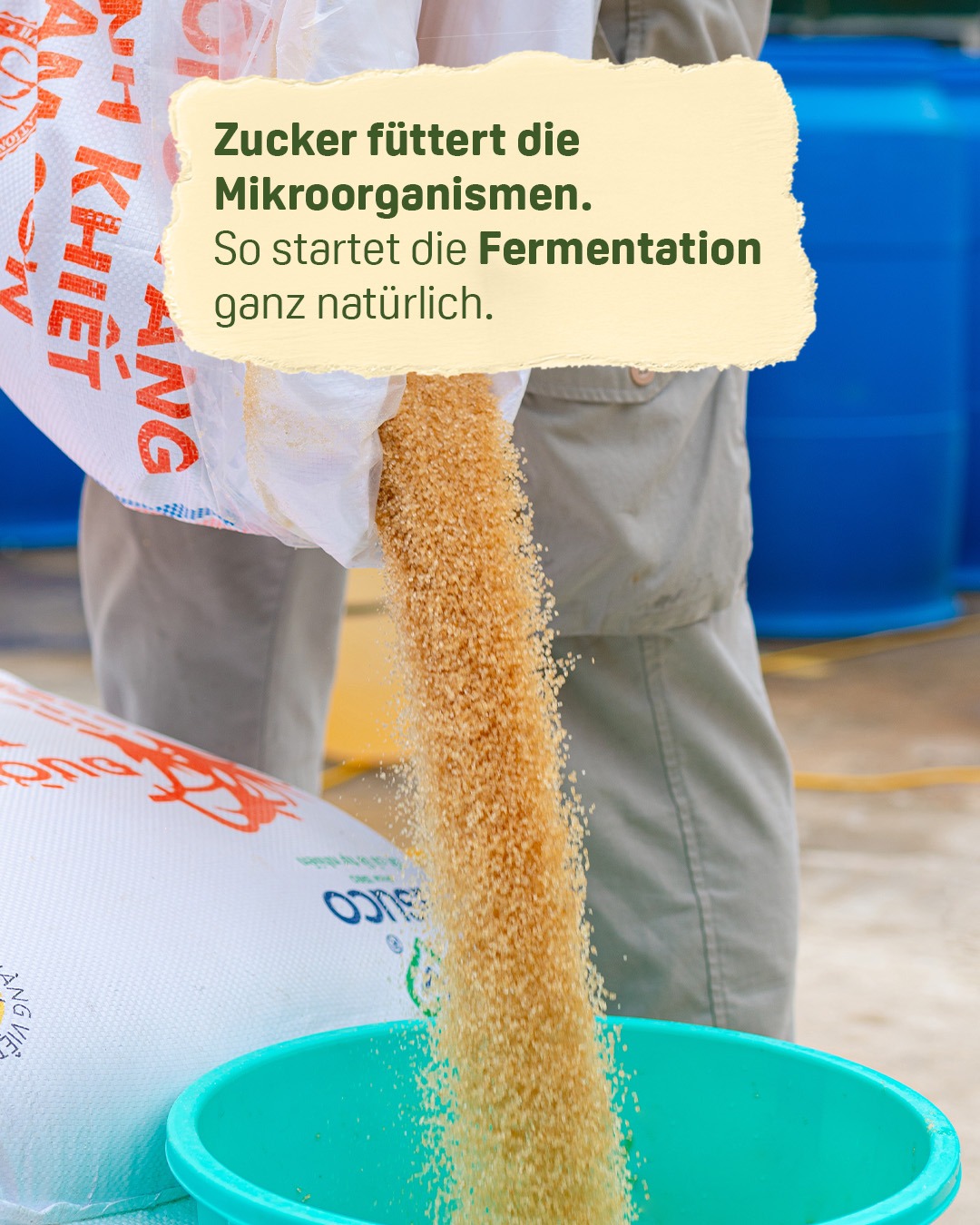 Startup für Öko-Enzyme: Starker Umwelt- & Gesundheitsschutz campaign photo, 4 of 8
