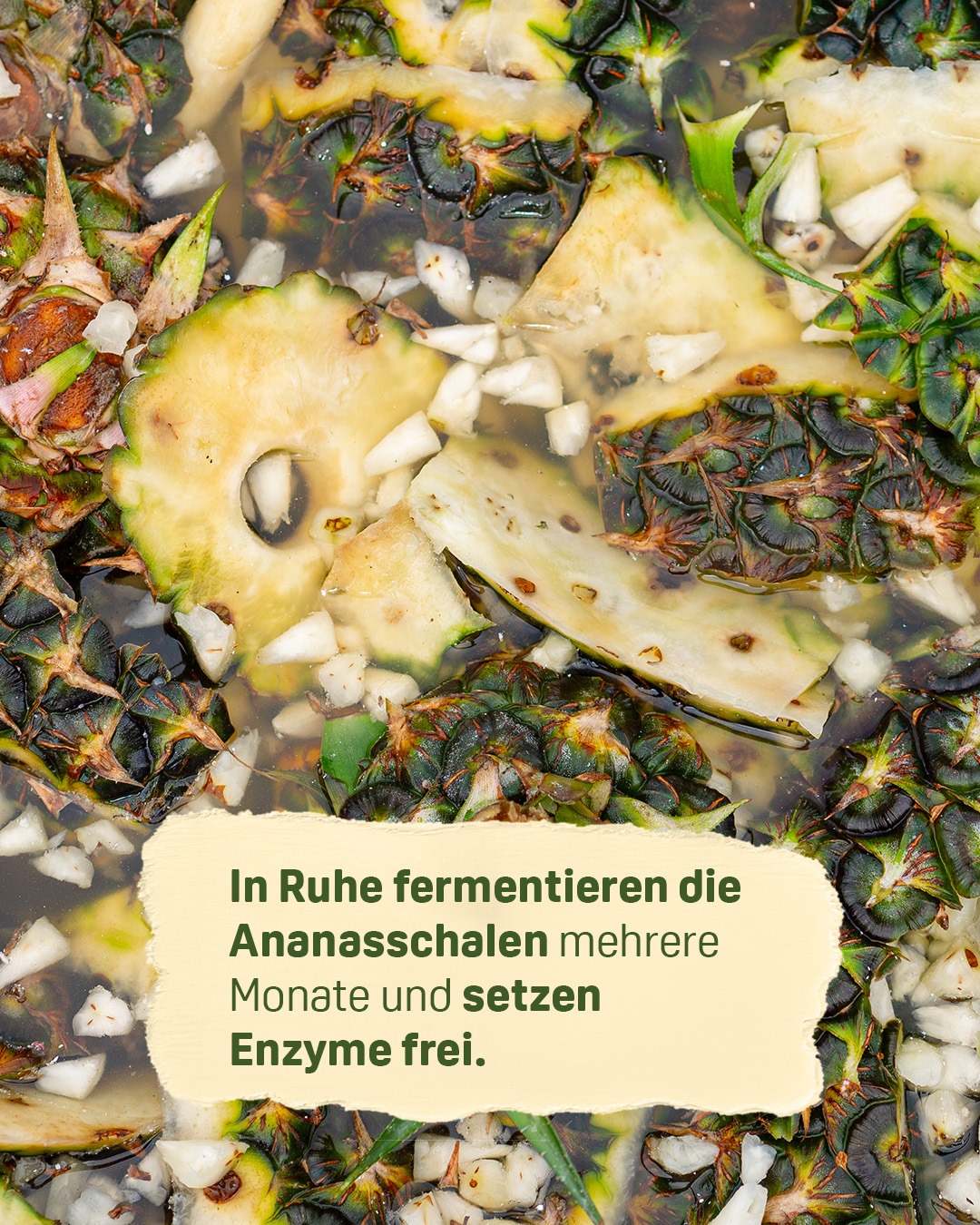 Startup für Öko-Enzyme: Starker Umwelt- & Gesundheitsschutz campaign photo, 5 of 8