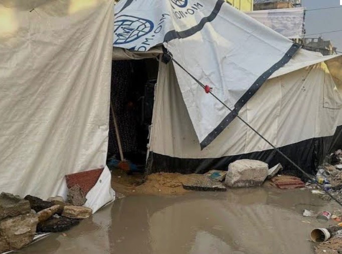 Support Two Gaza Families: Food, Shelter & Care campaign photo, 2 of 8