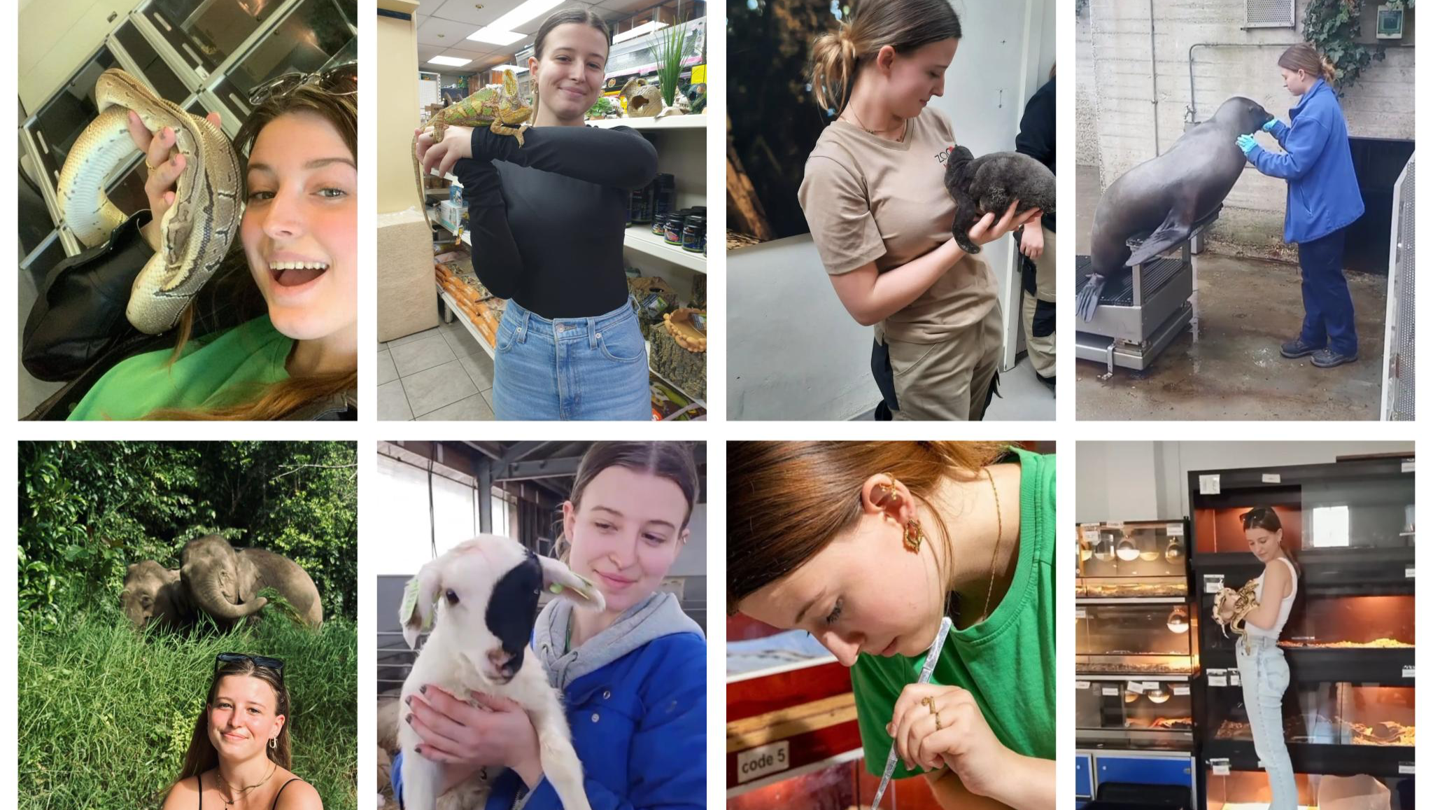 Droom Stage in Costa Rica pinned link photo