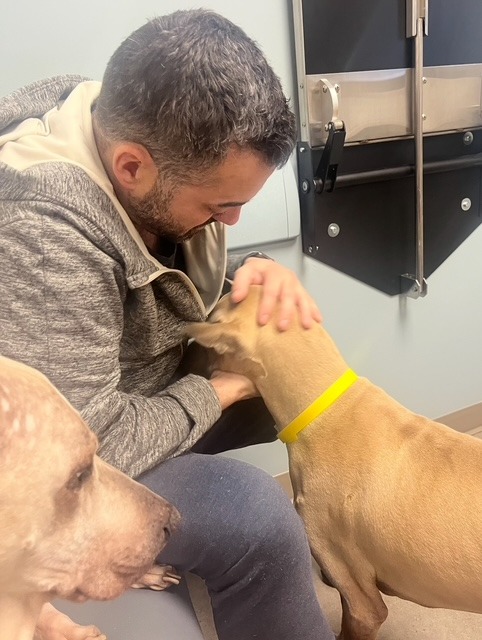 Support Ty’s Life-Saving Surgery campaign photo, 2 of 7
