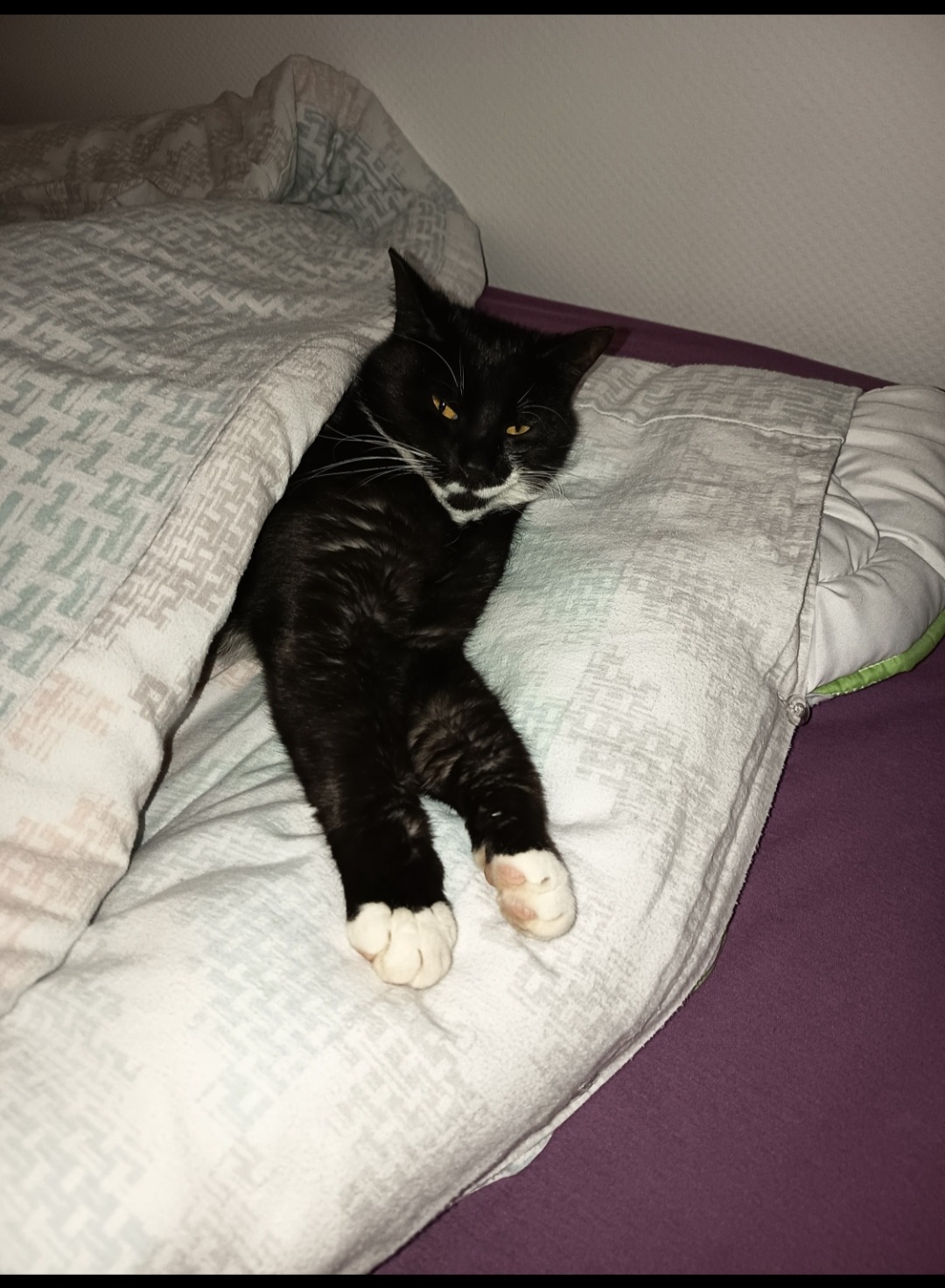 Theo hat es leider nicht geschafft campaign photo, 5 of 5