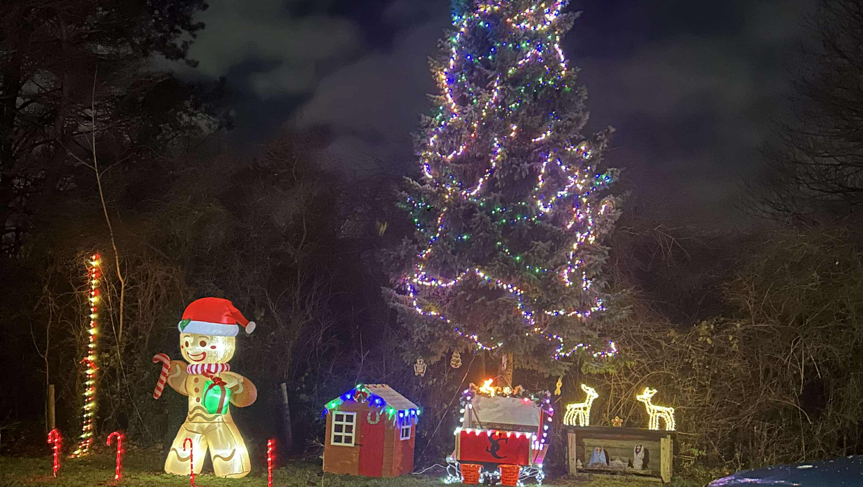 Michael Masone Christmas Lights