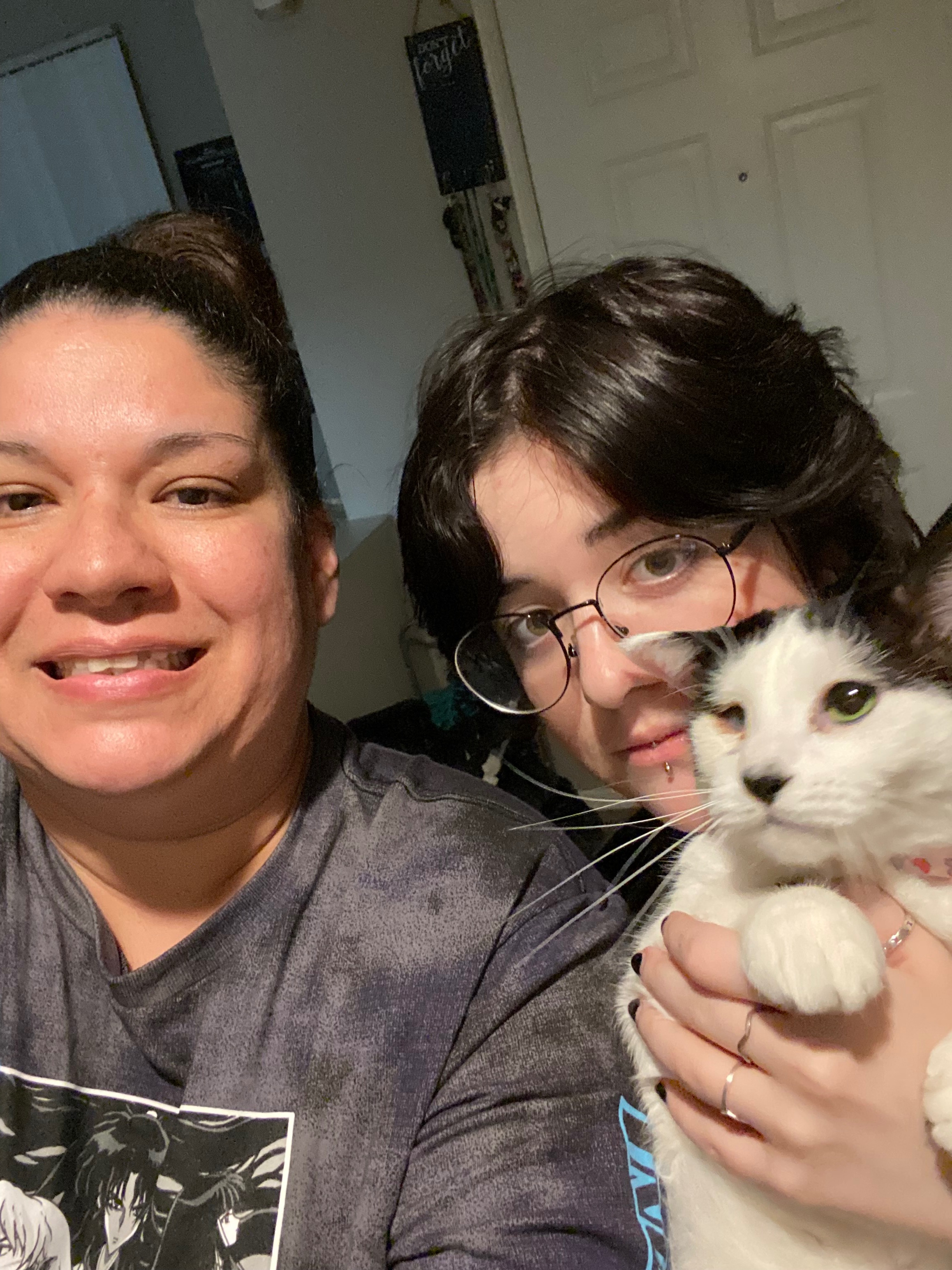 Help Save Haley's Cat Bunny (Ayuan) from FIP campaign photo, 6 of 8
