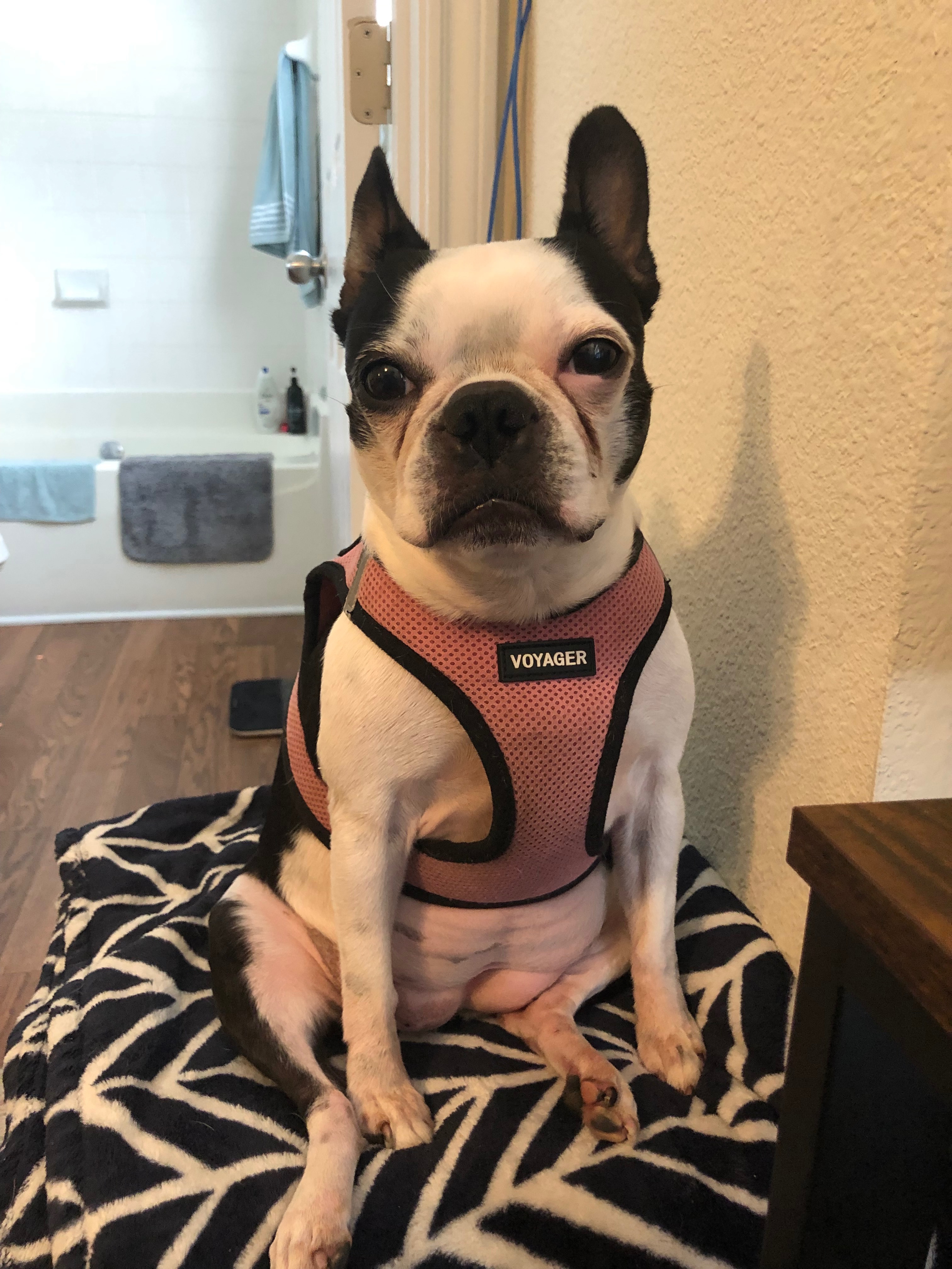 Help Roxy Get the Tests She Needs campaign photo, 4 of 8