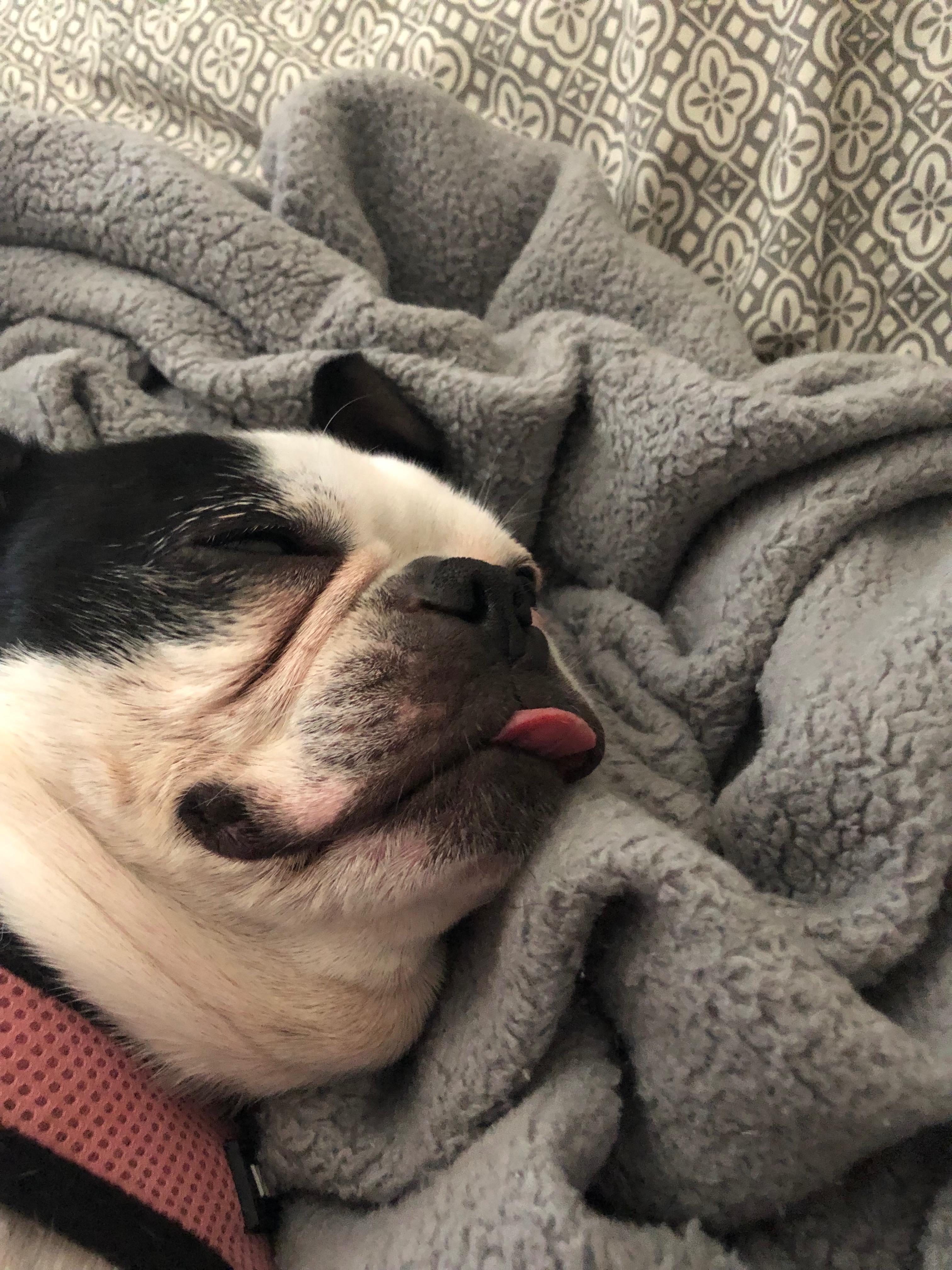 Help Roxy Get the Tests She Needs campaign photo, 6 of 8