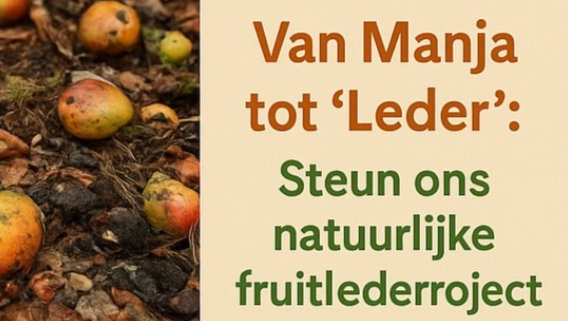 Help ons duurzaam Mango Leder produceren in Suriname