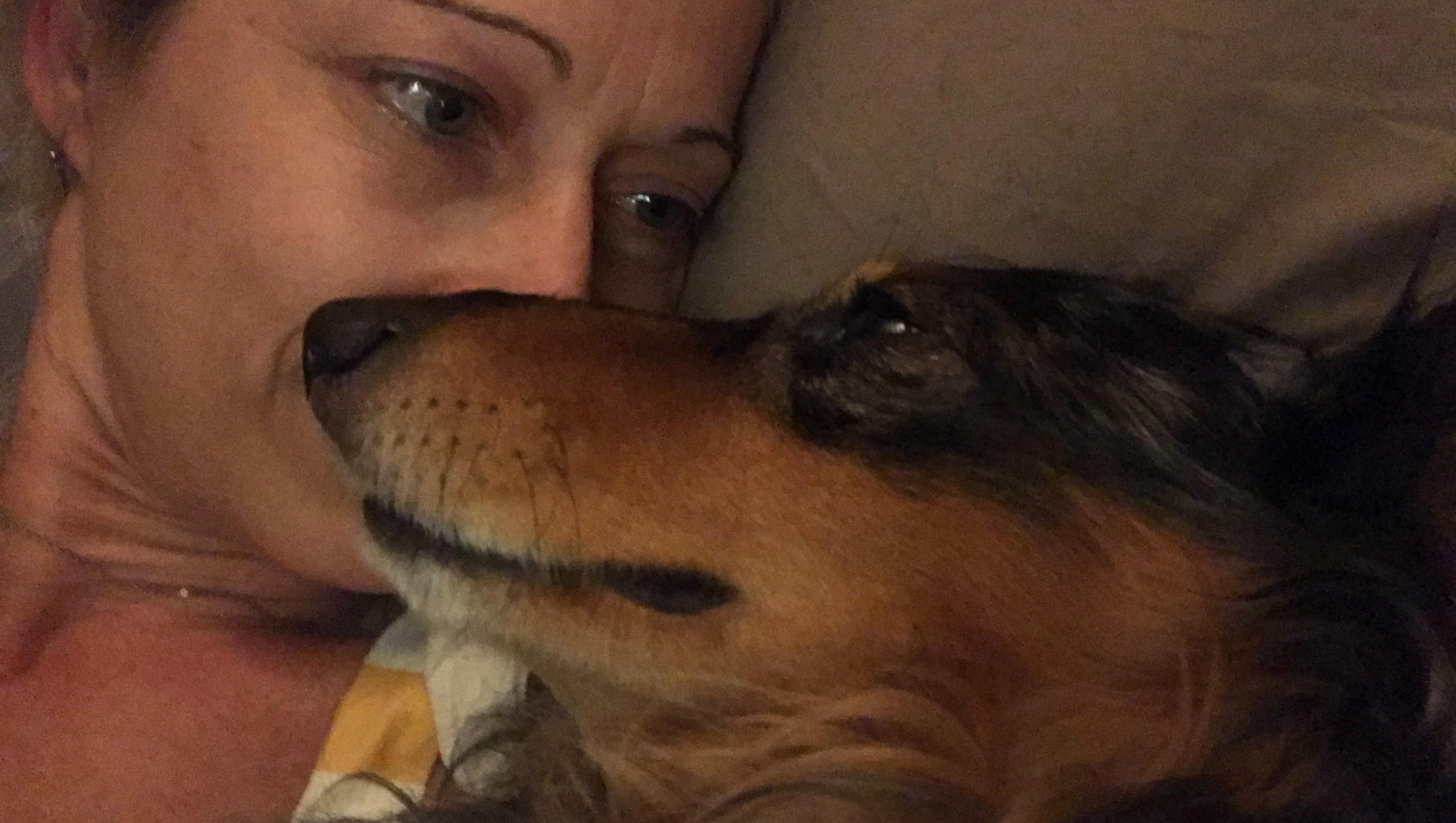 Steun de Kankerbehandeling van Onze Teckel Flugel . photo