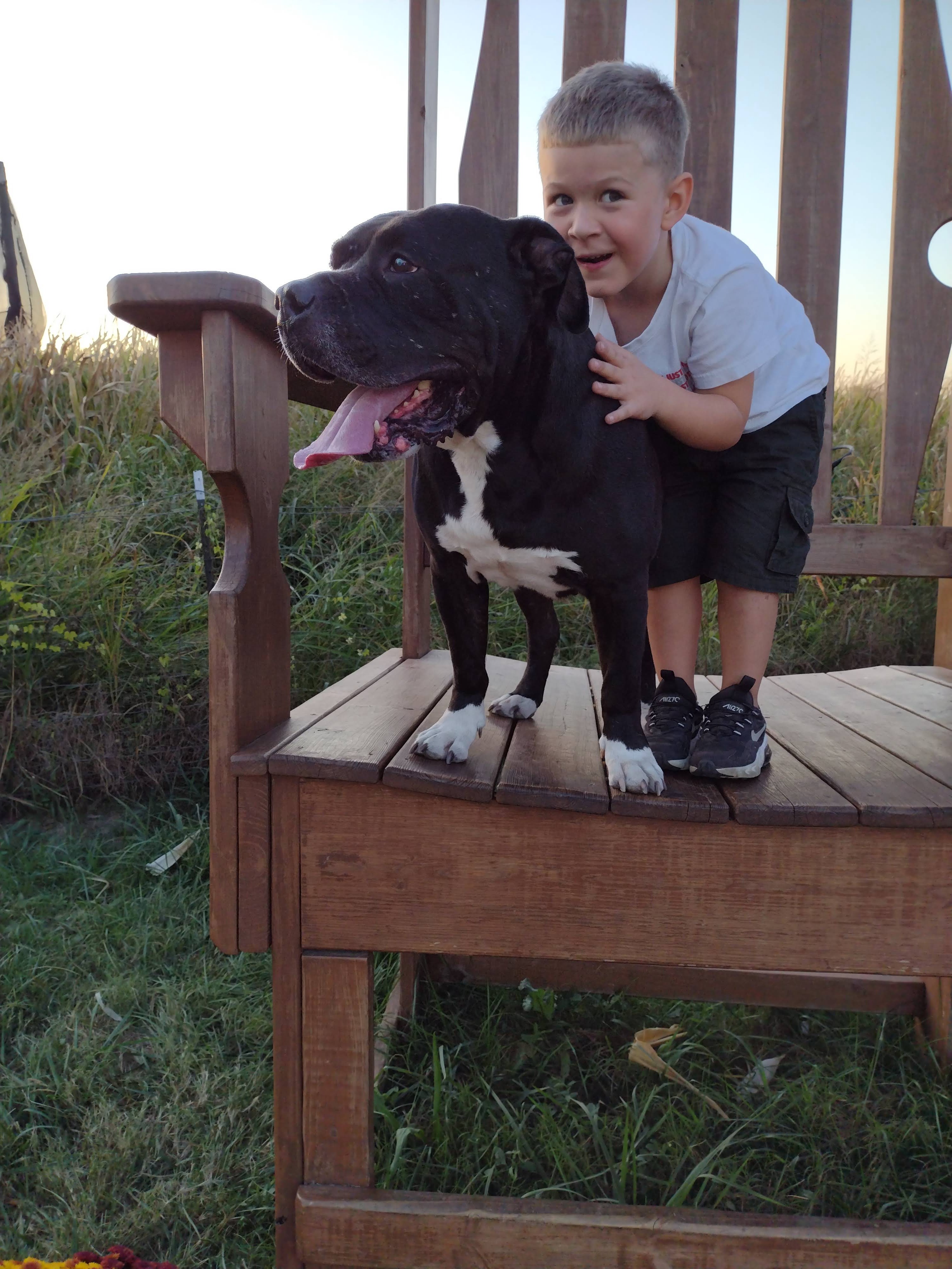 Ares Da God! Bobo needs your help. We cant do it without you campaign photo, 6 of 7
