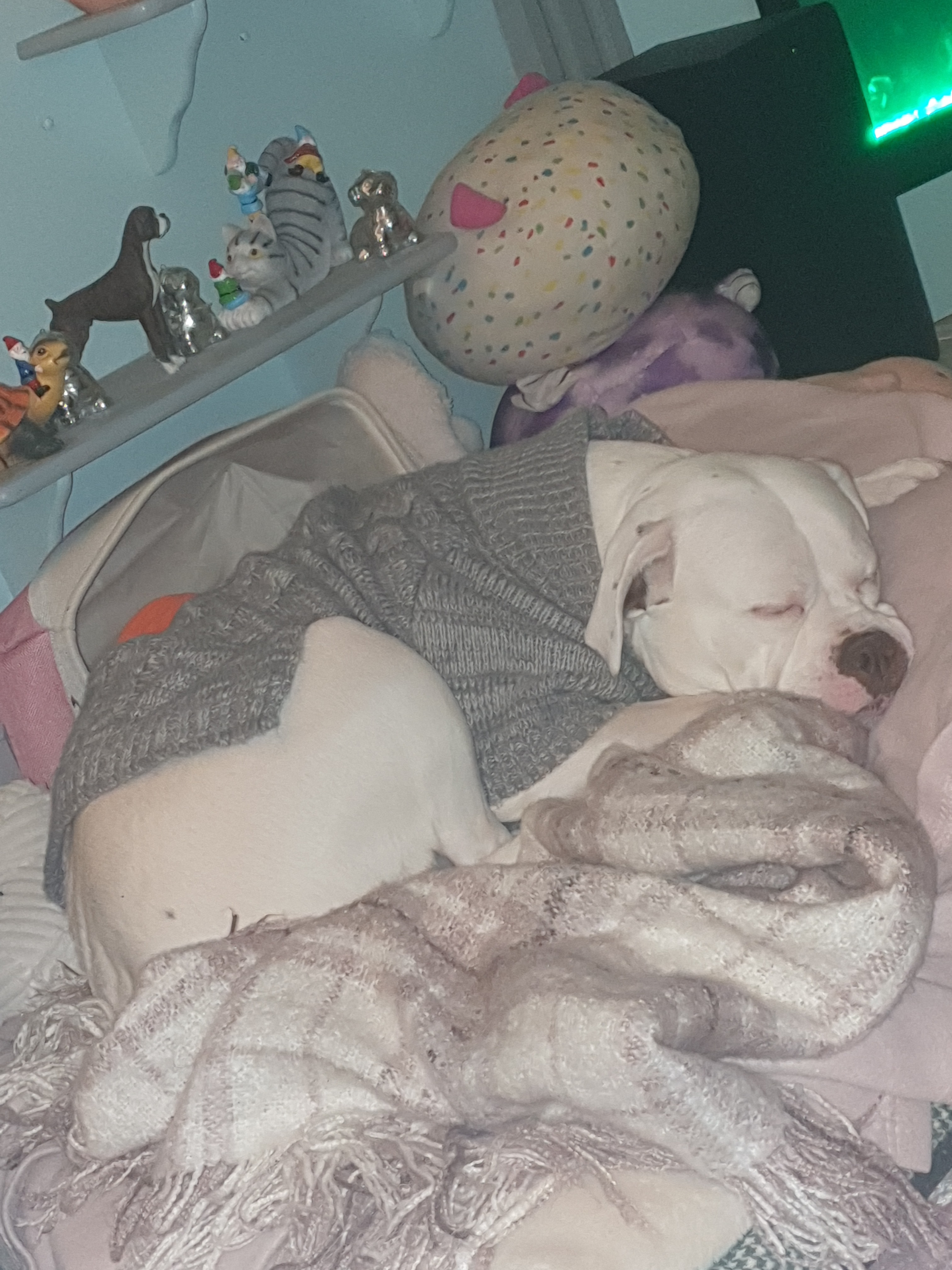 My big girl needs emergency operation campaign photo, 6 of 7